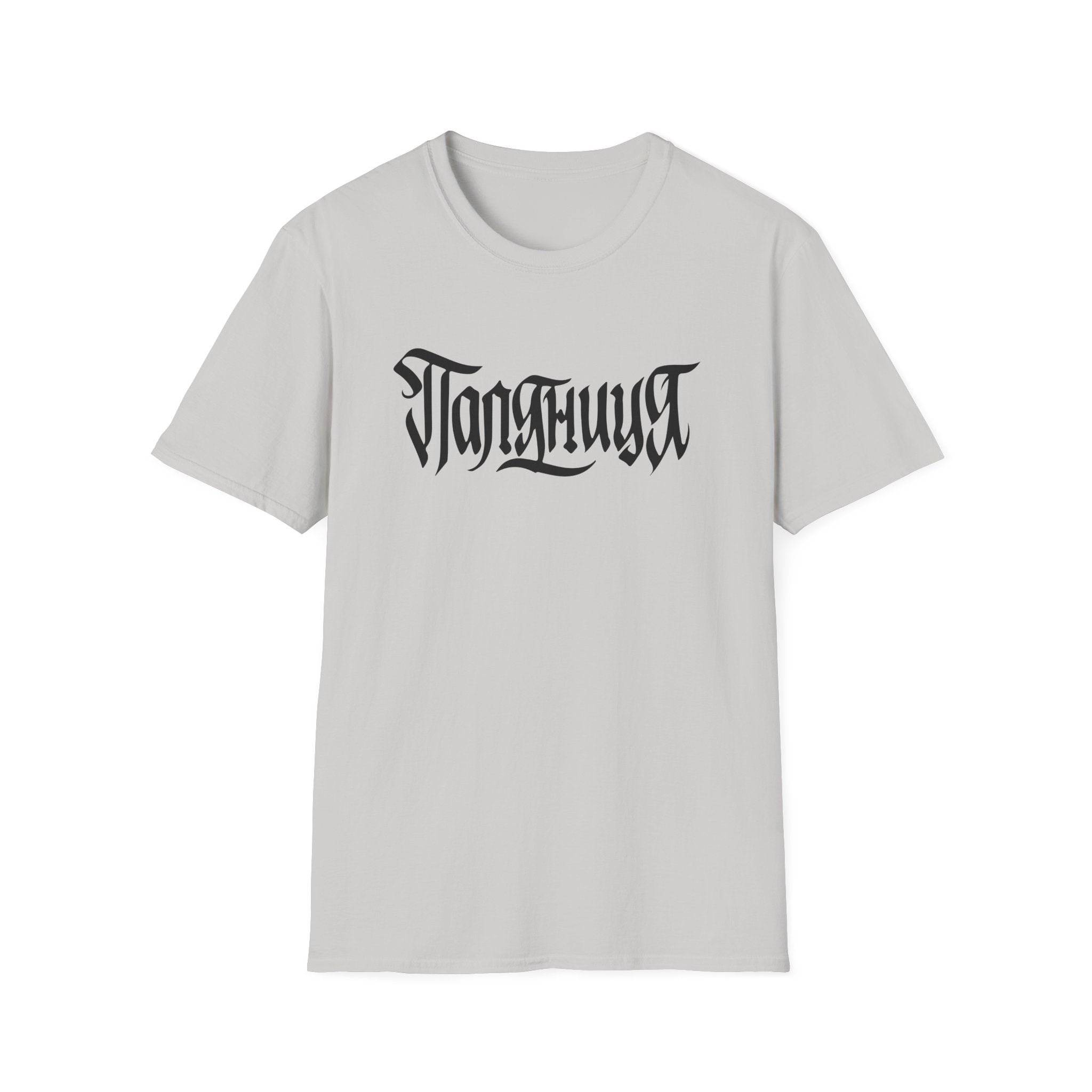 Azov Battalion Palianytsia Passphrase Unisex Softstyle T-Shirt