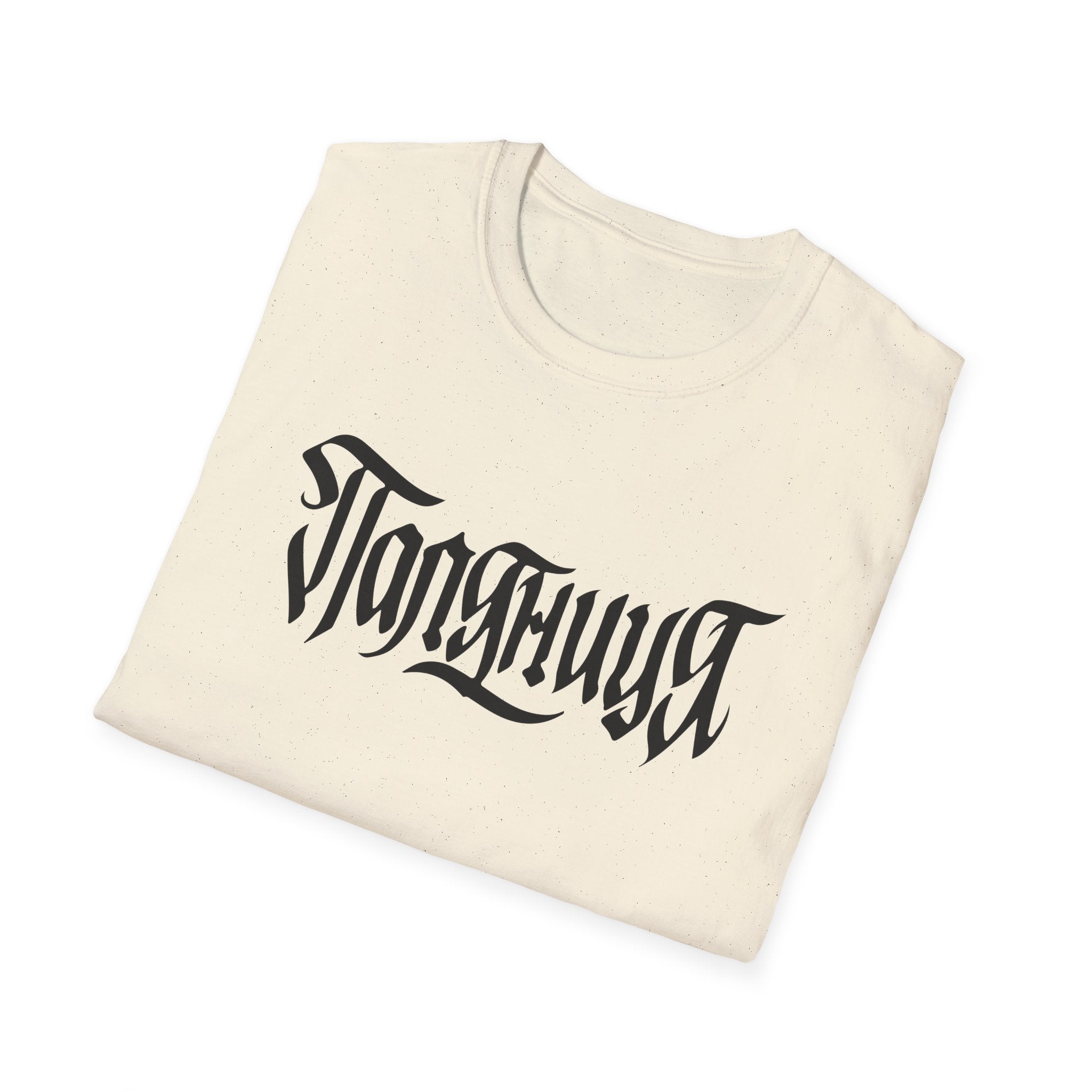 Azov Battalion Palianytsia Passphrase Unisex Softstyle T-Shirt