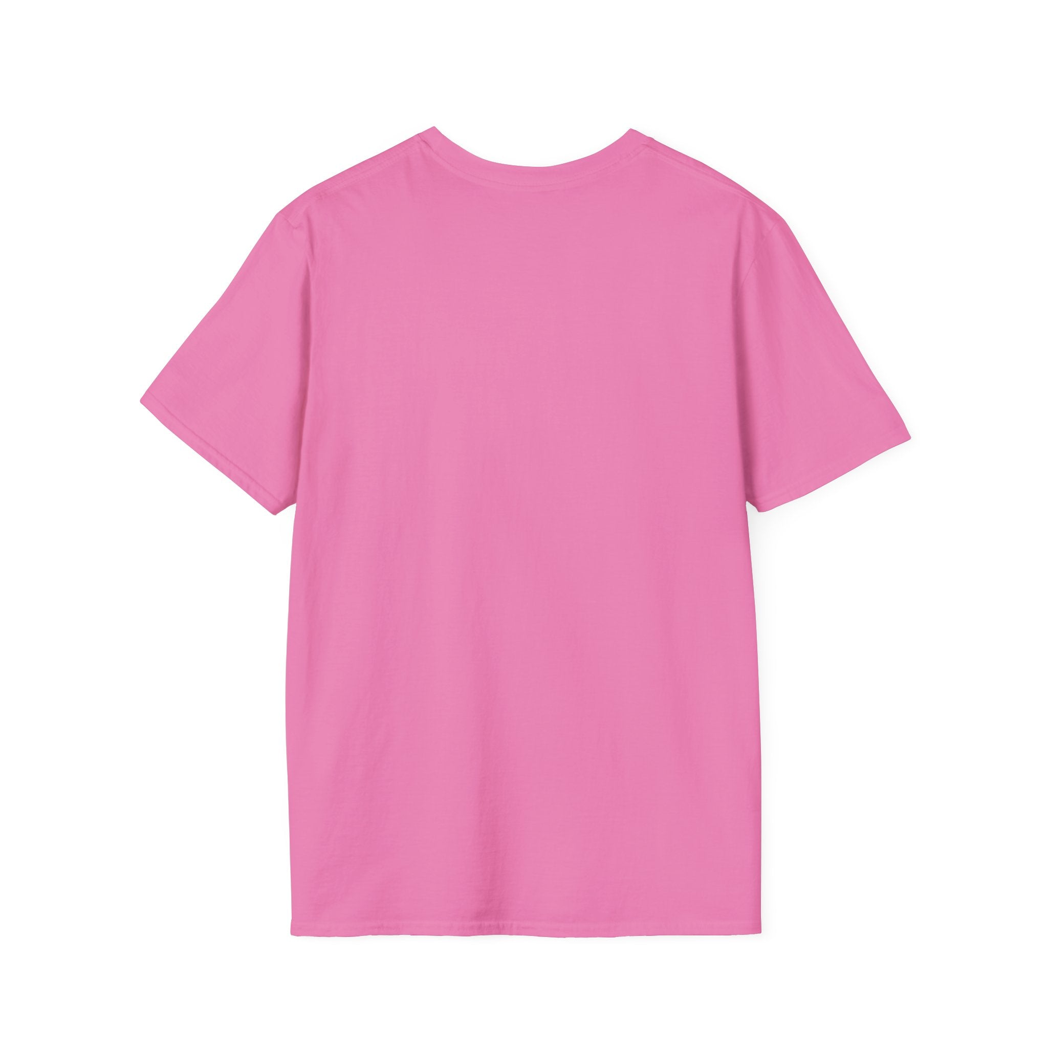 Azov Battalion Palianytsia Passphrase Unisex Softstyle T-Shirt