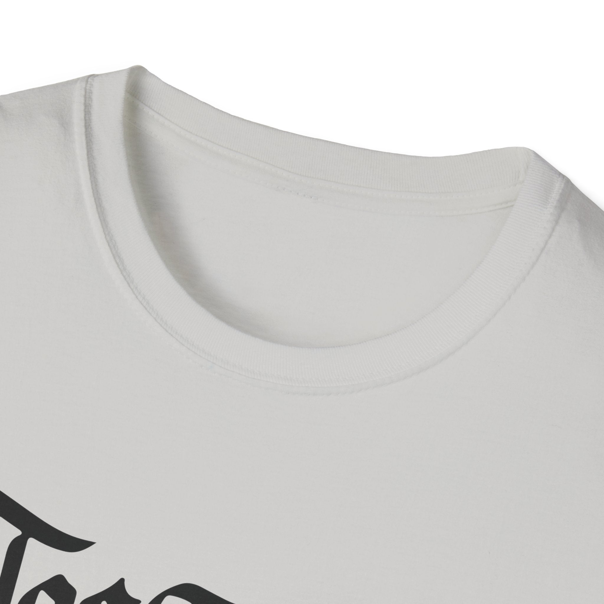 Azov Battalion Palianytsia Passphrase Unisex Softstyle T-Shirt