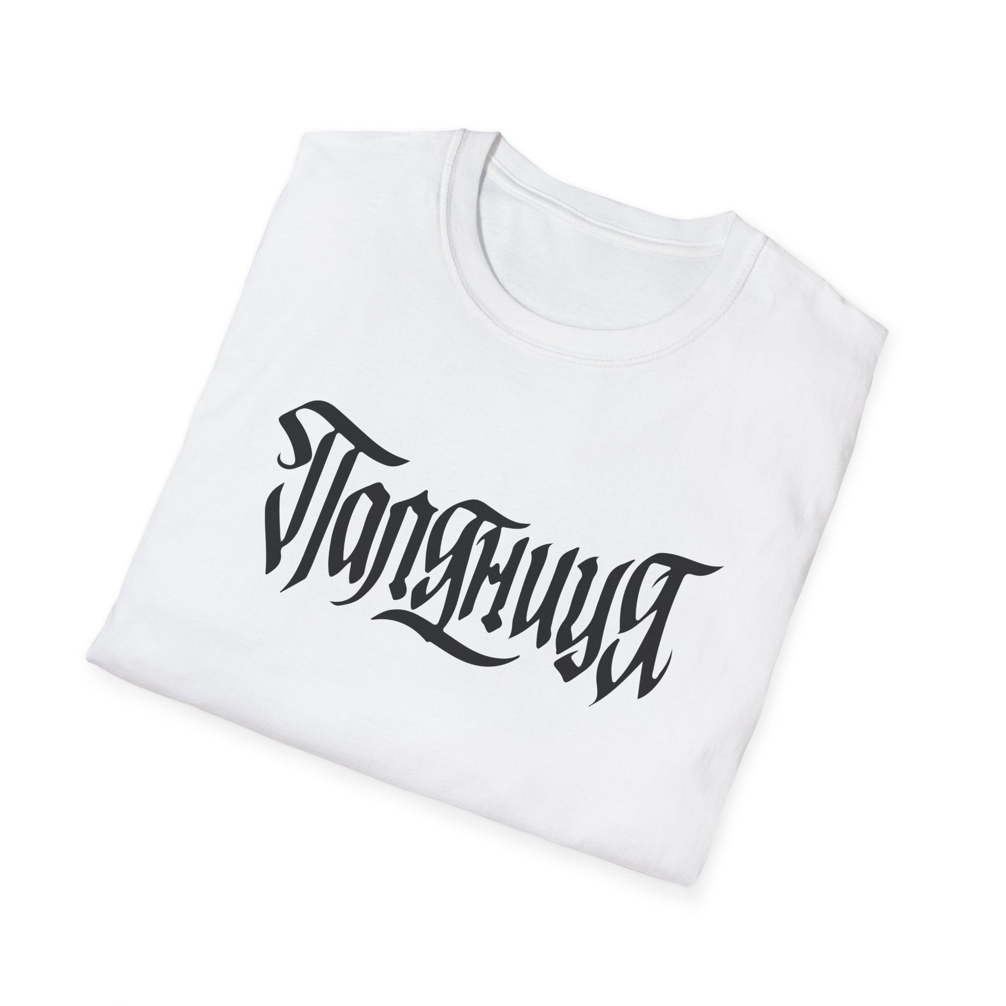 Azov Battalion Palianytsia Passphrase Unisex Softstyle T-Shirt