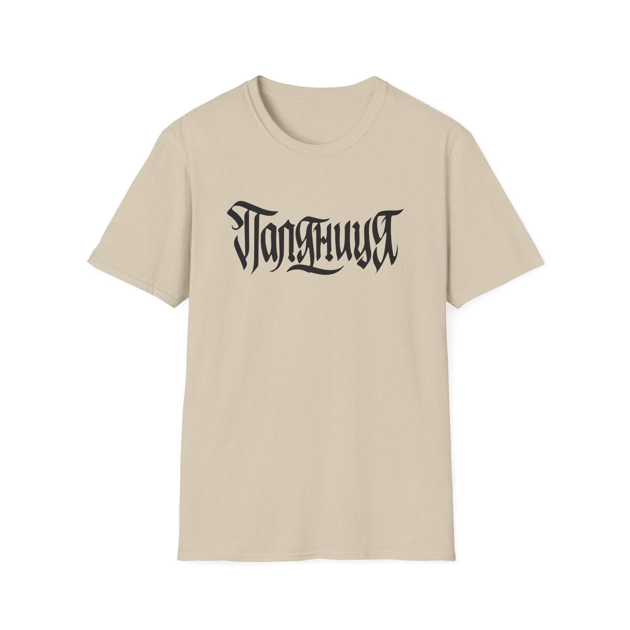 Azov Battalion Palianytsia Passphrase Unisex Softstyle T-Shirt