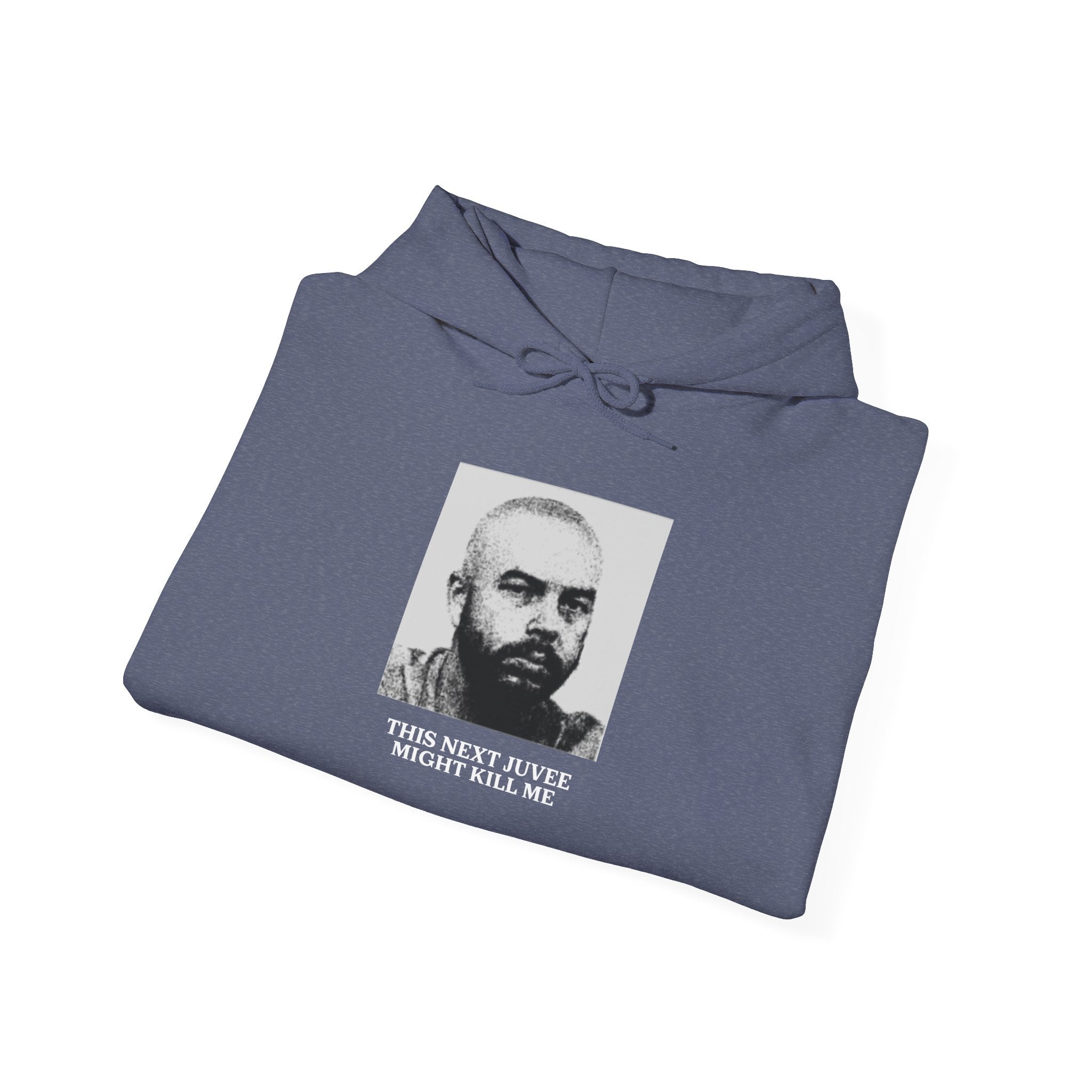 Ludwig This Next Juvee Might Kill Me Unisex Heavy Blend Hooded Sweatshirt