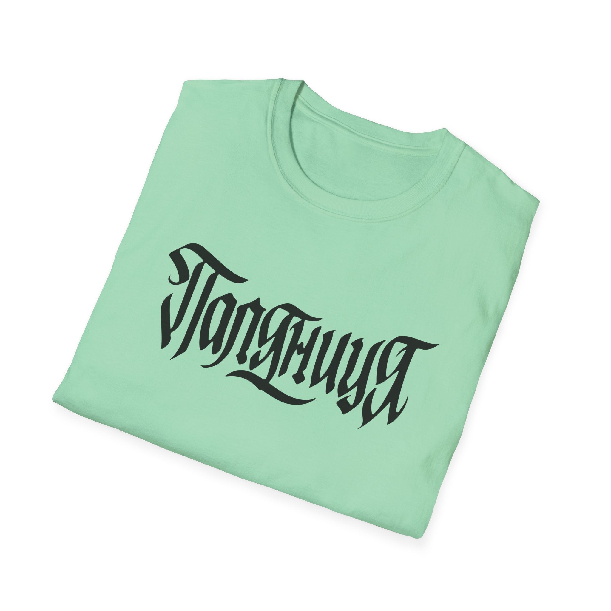 Azov Battalion Palianytsia Passphrase Unisex Softstyle T-Shirt