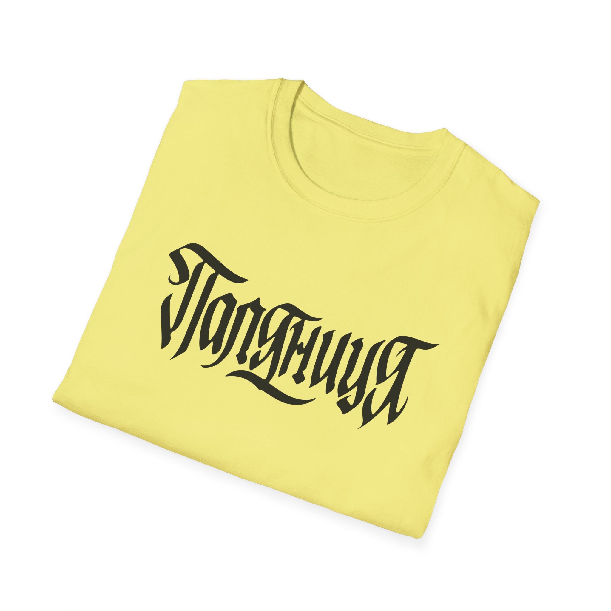 Azov Battalion Palianytsia Passphrase Unisex Softstyle T-Shirt