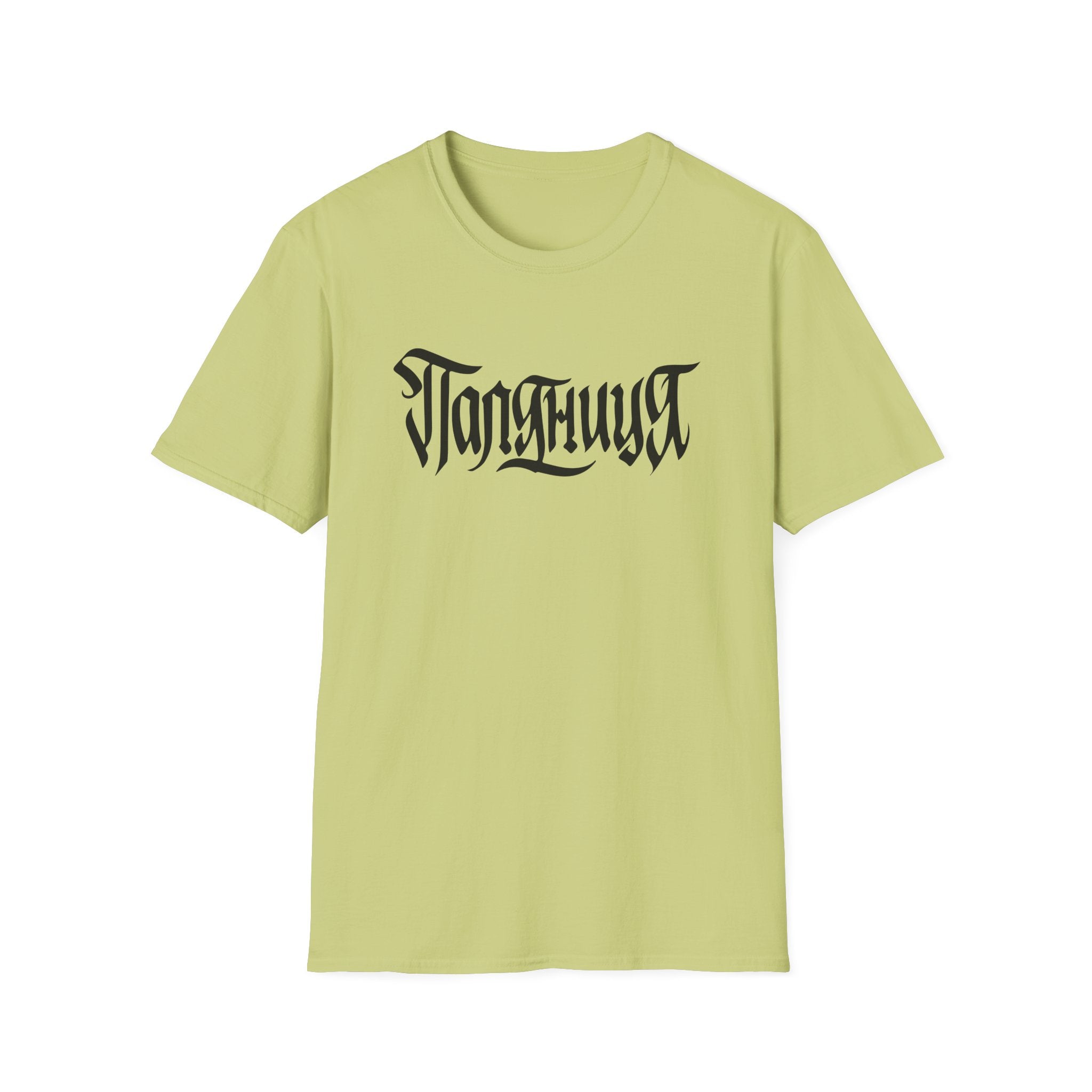 Azov Battalion Palianytsia Passphrase Unisex Softstyle T-Shirt