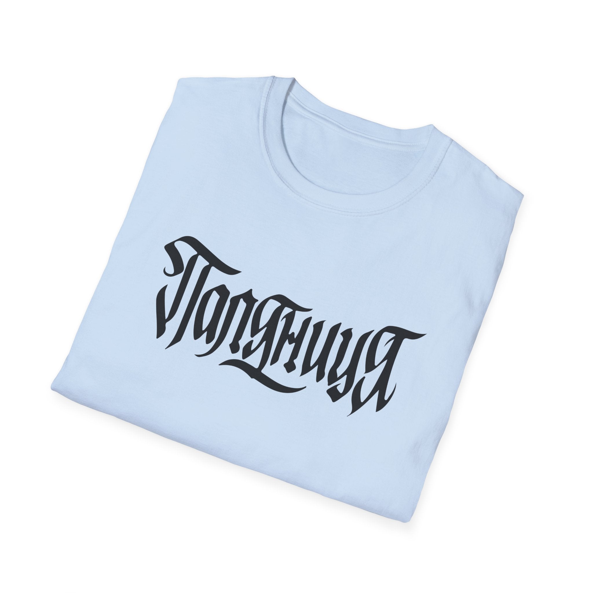 Azov Battalion Palianytsia Passphrase Unisex Softstyle T-Shirt