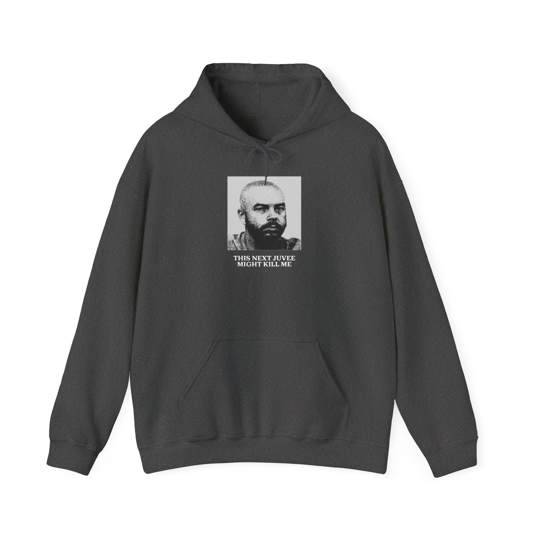 Ludwig This Next Juvee Might Kill Me Unisex Heavy Blend Hooded Sweatshirt
