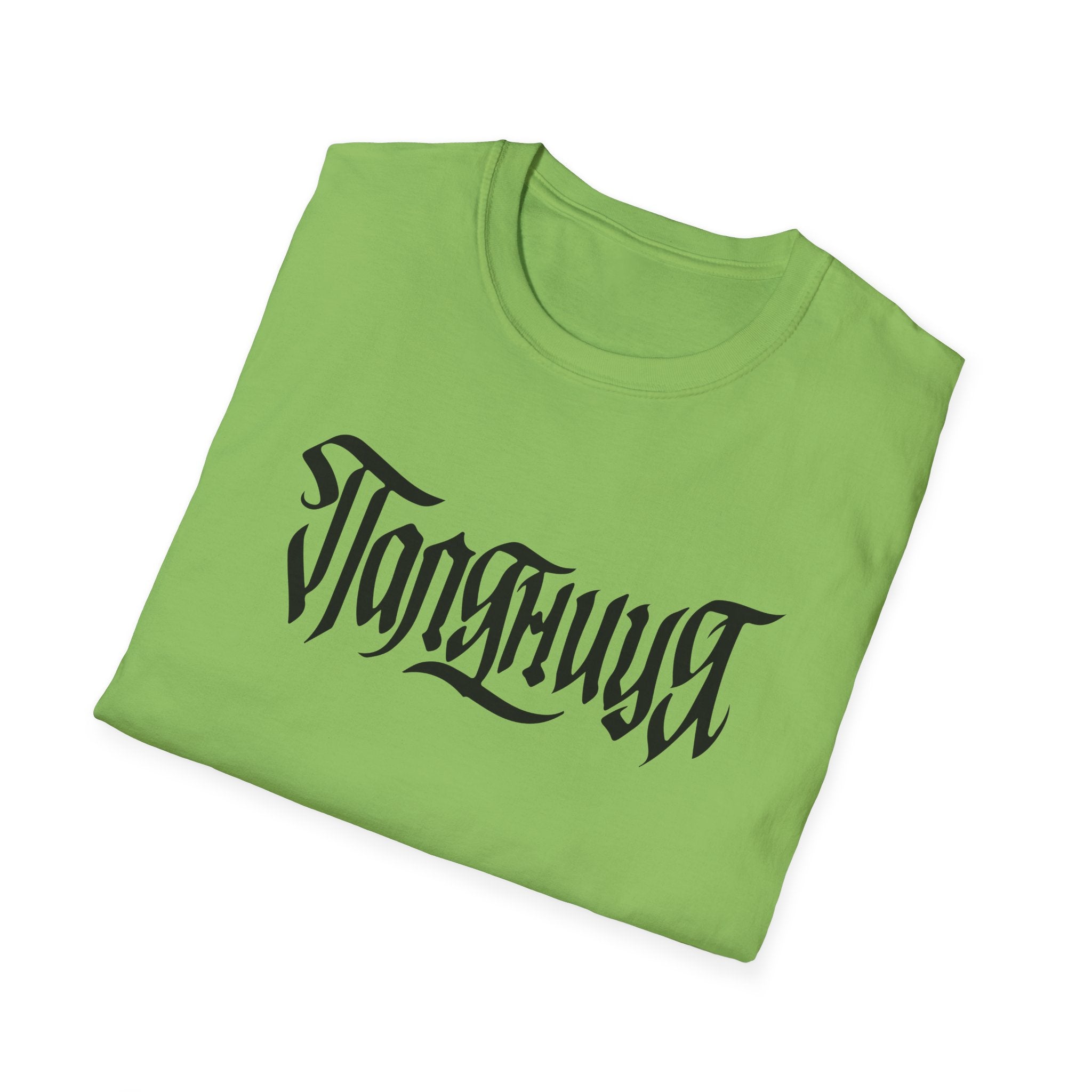 Azov Battalion Palianytsia Passphrase Unisex Softstyle T-Shirt