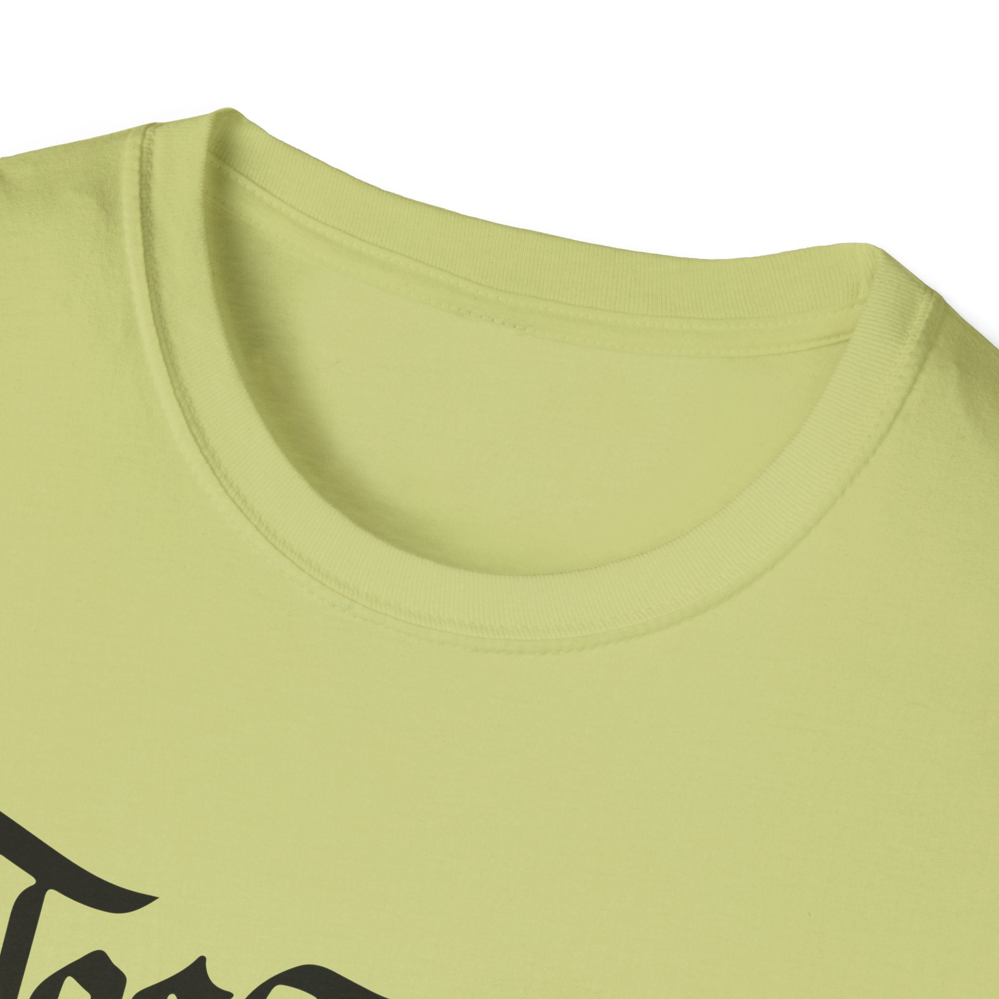 Azov Battalion Palianytsia Passphrase Unisex Softstyle T-Shirt