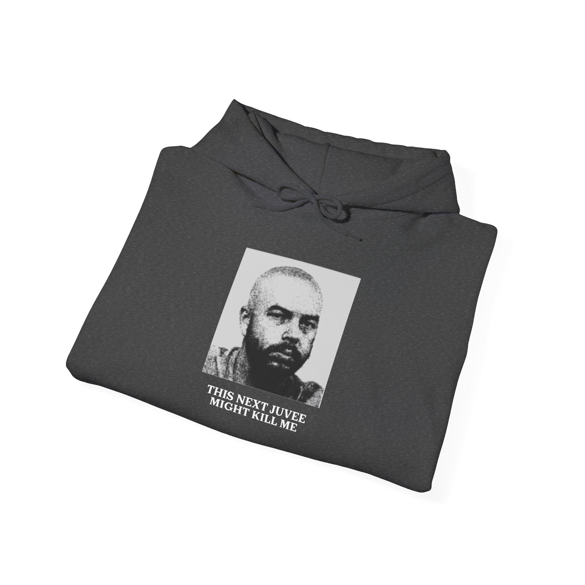 Ludwig This Next Juvee Might Kill Me Unisex Heavy Blend Hooded Sweatshirt