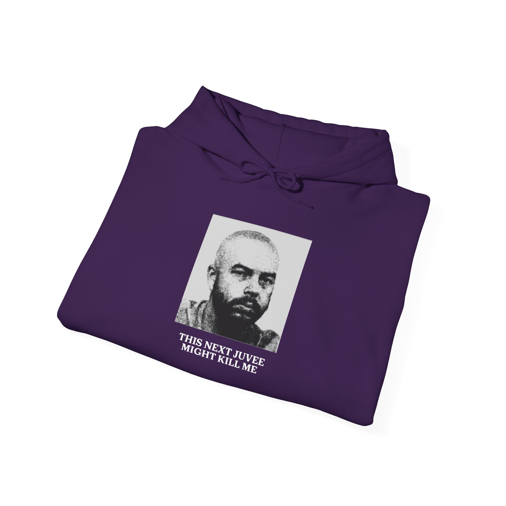Ludwig This Next Juvee Might Kill Me Unisex Heavy Blend Hooded Sweatshirt