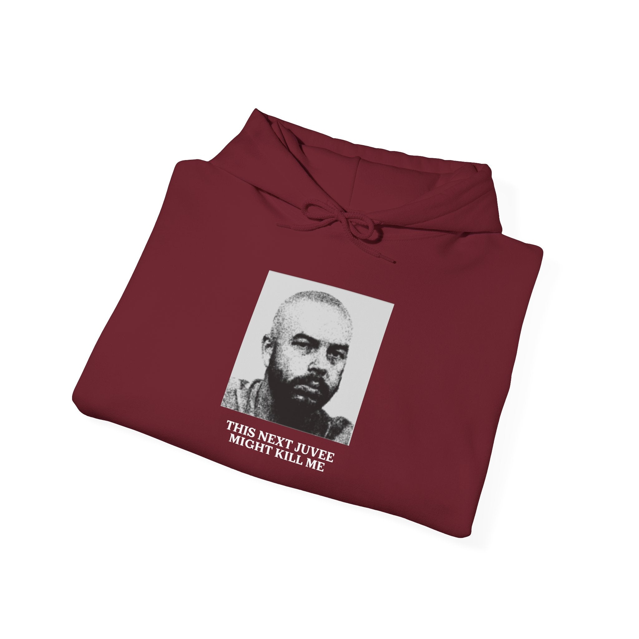 Ludwig This Next Juvee Might Kill Me Unisex Heavy Blend Hooded Sweatshirt