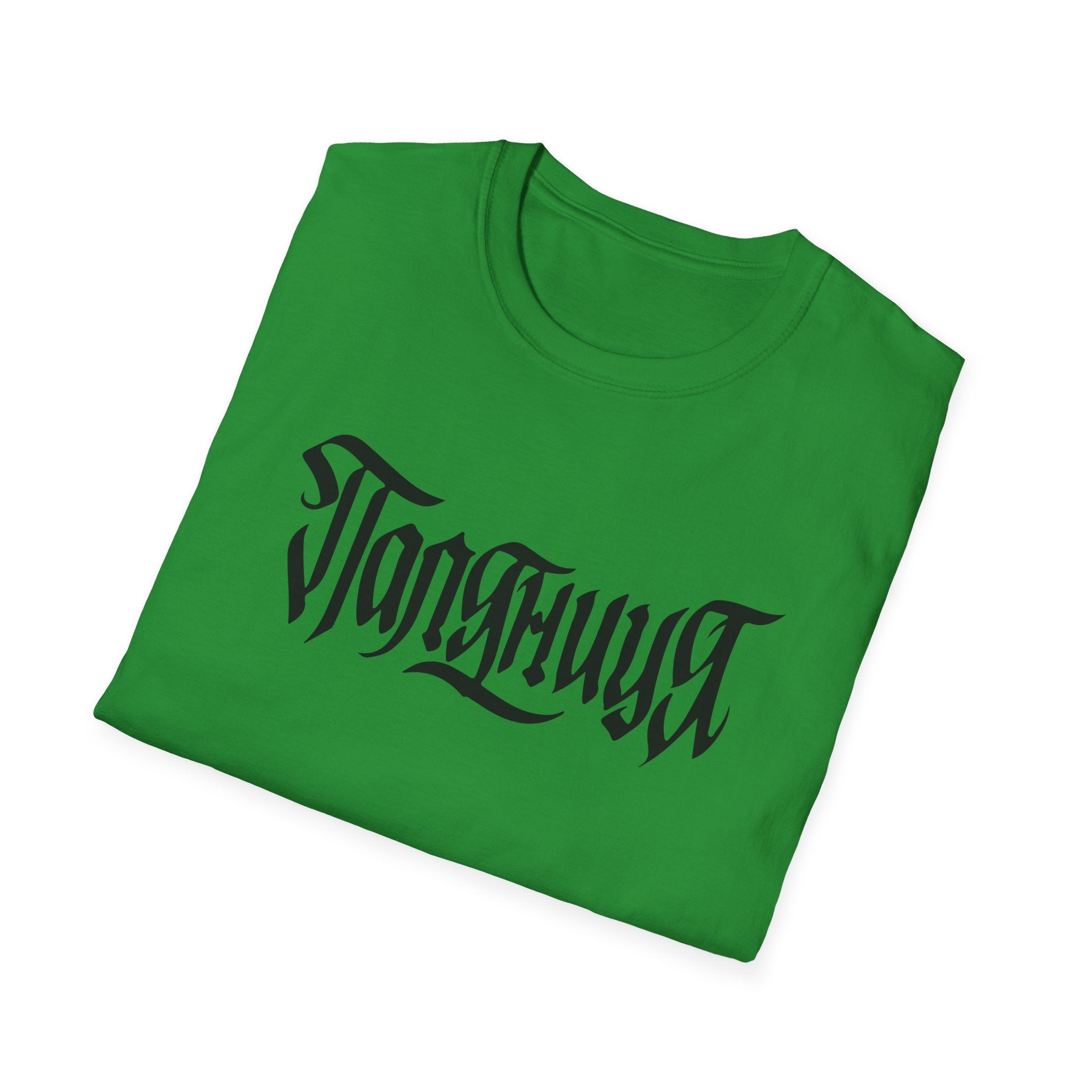 Azov Battalion Palianytsia Passphrase Unisex Softstyle T-Shirt