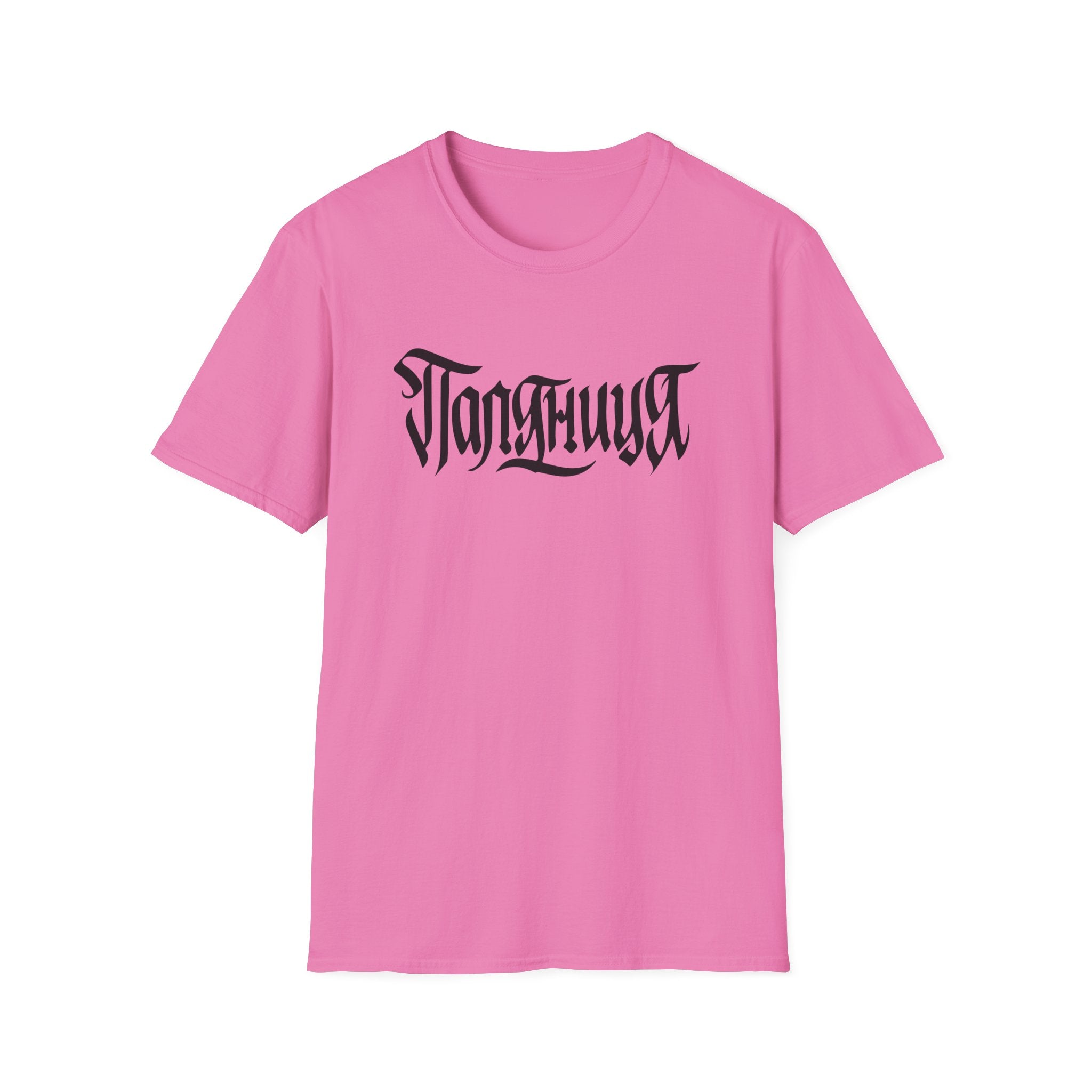 Azov Battalion Palianytsia Passphrase Unisex Softstyle T-Shirt
