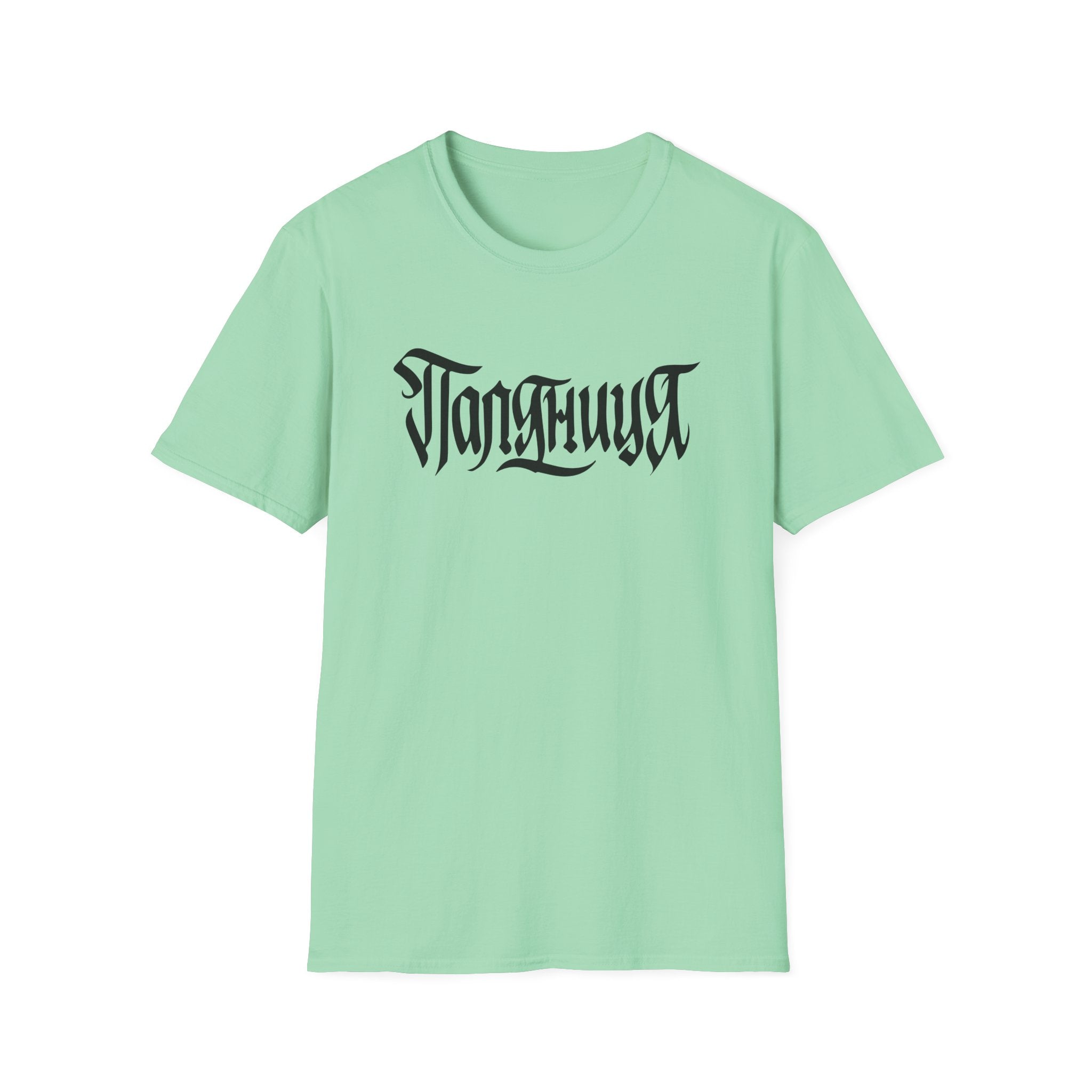 Azov Battalion Palianytsia Passphrase Unisex Softstyle T-Shirt