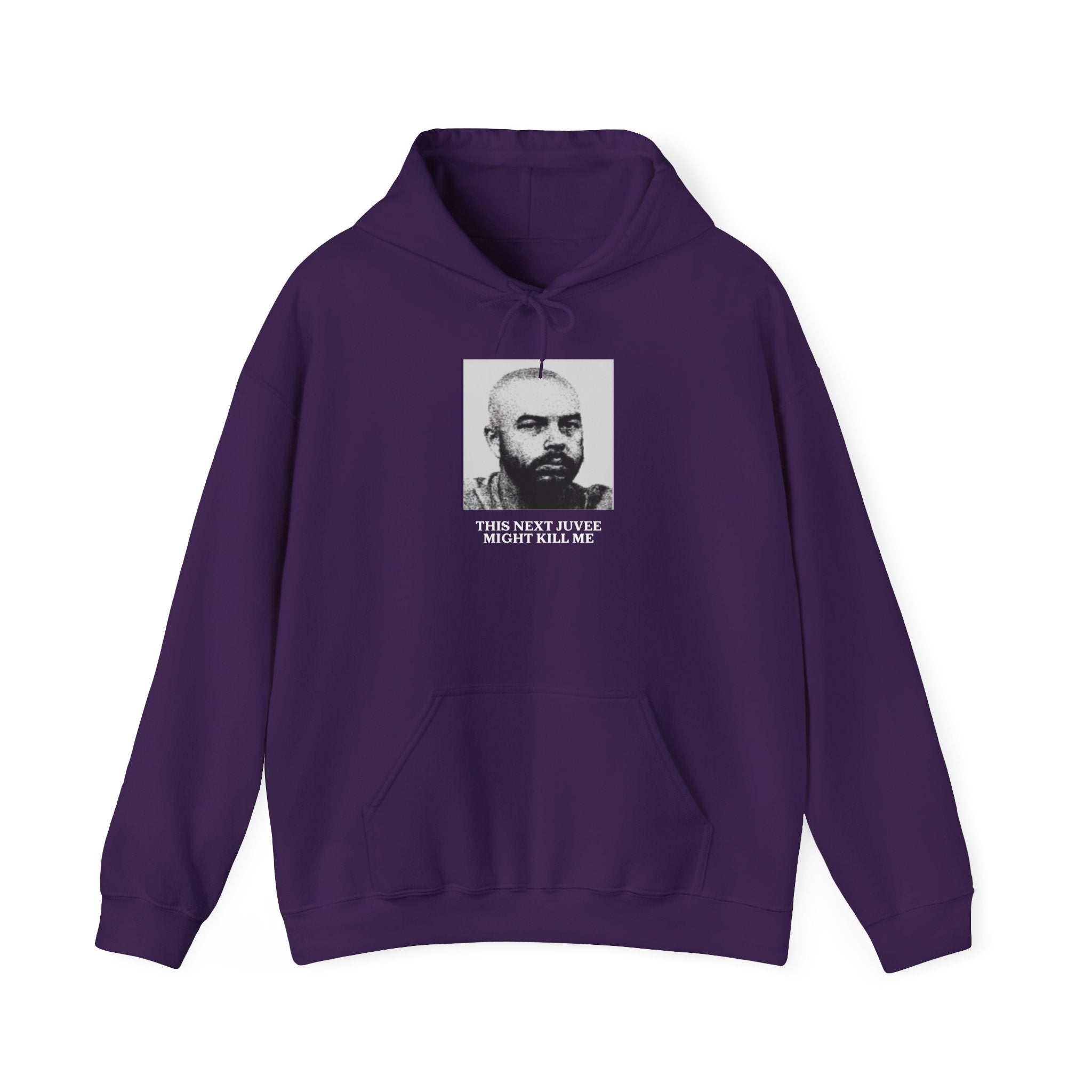 Ludwig This Next Juvee Might Kill Me Unisex Heavy Blend Hooded Sweatshirt