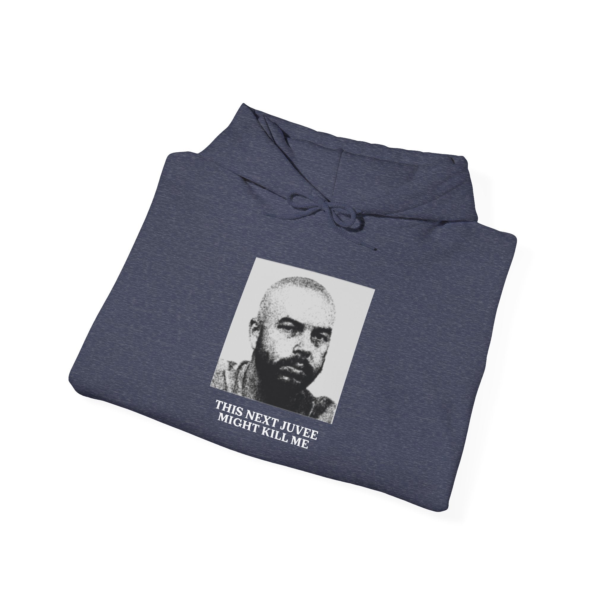 Ludwig This Next Juvee Might Kill Me Unisex Heavy Blend Hooded Sweatshirt
