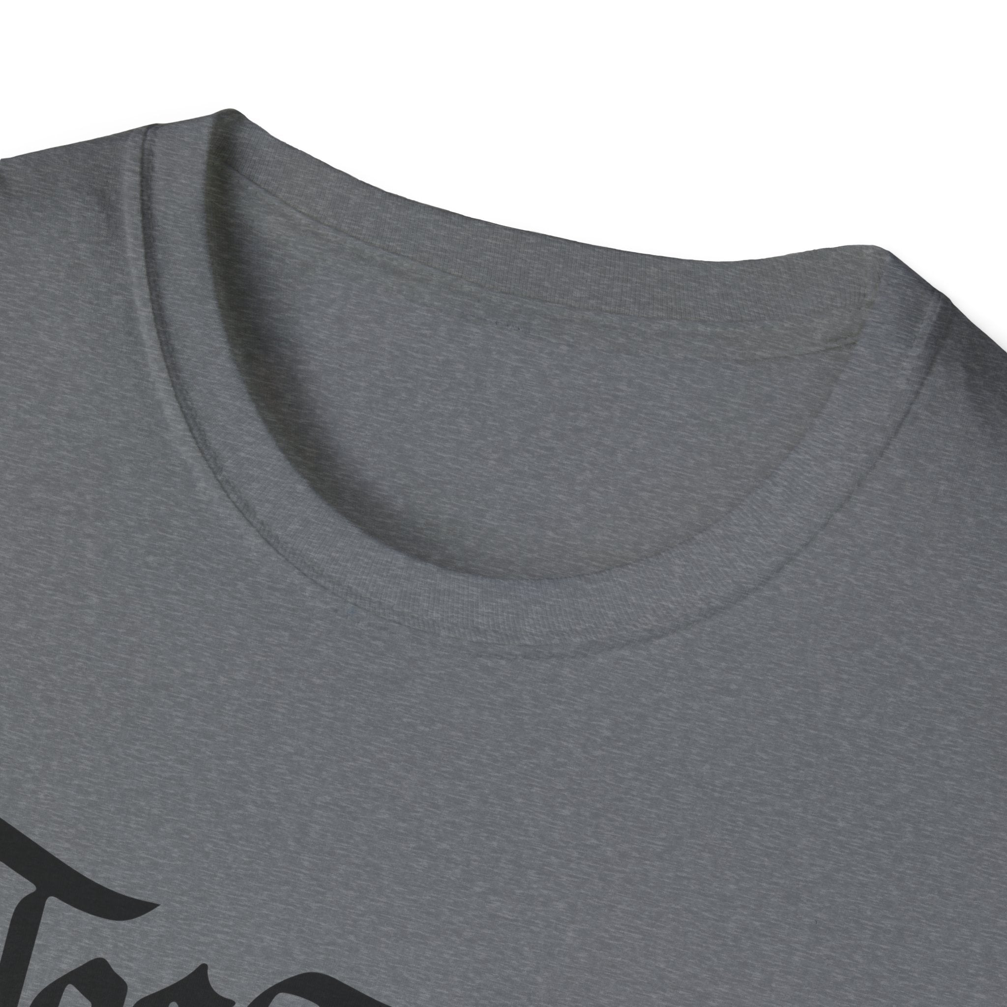 Azov Battalion Palianytsia Passphrase Unisex Softstyle T-Shirt