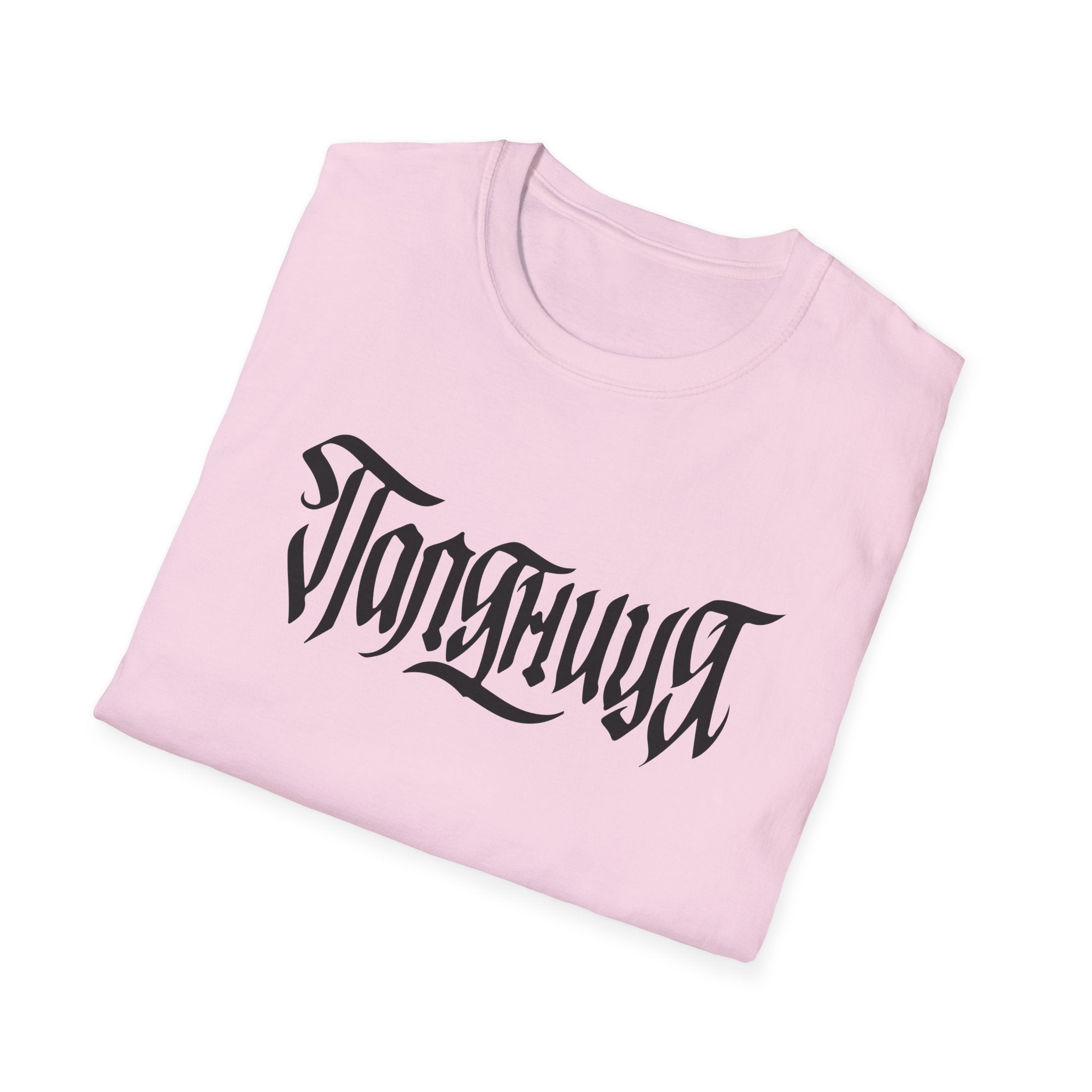Azov Battalion Palianytsia Passphrase Unisex Softstyle T-Shirt
