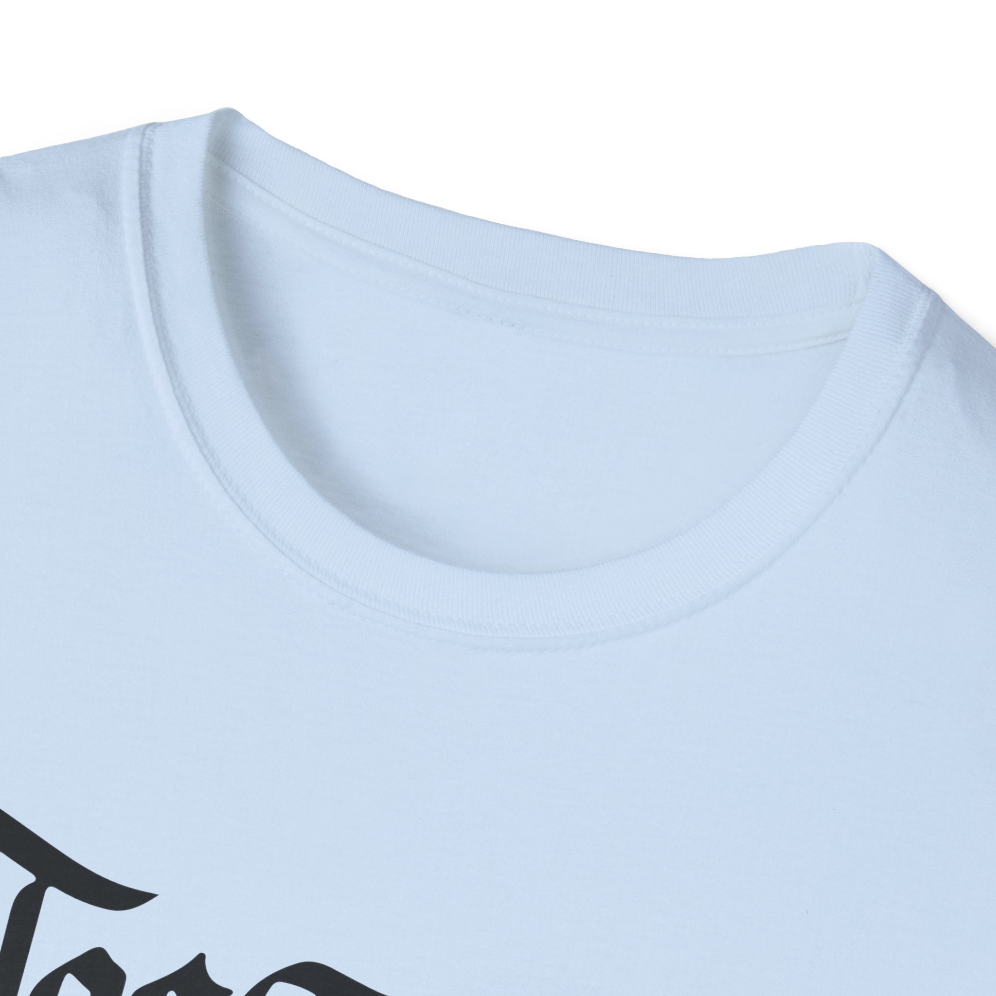 Azov Battalion Palianytsia Passphrase Unisex Softstyle T-Shirt
