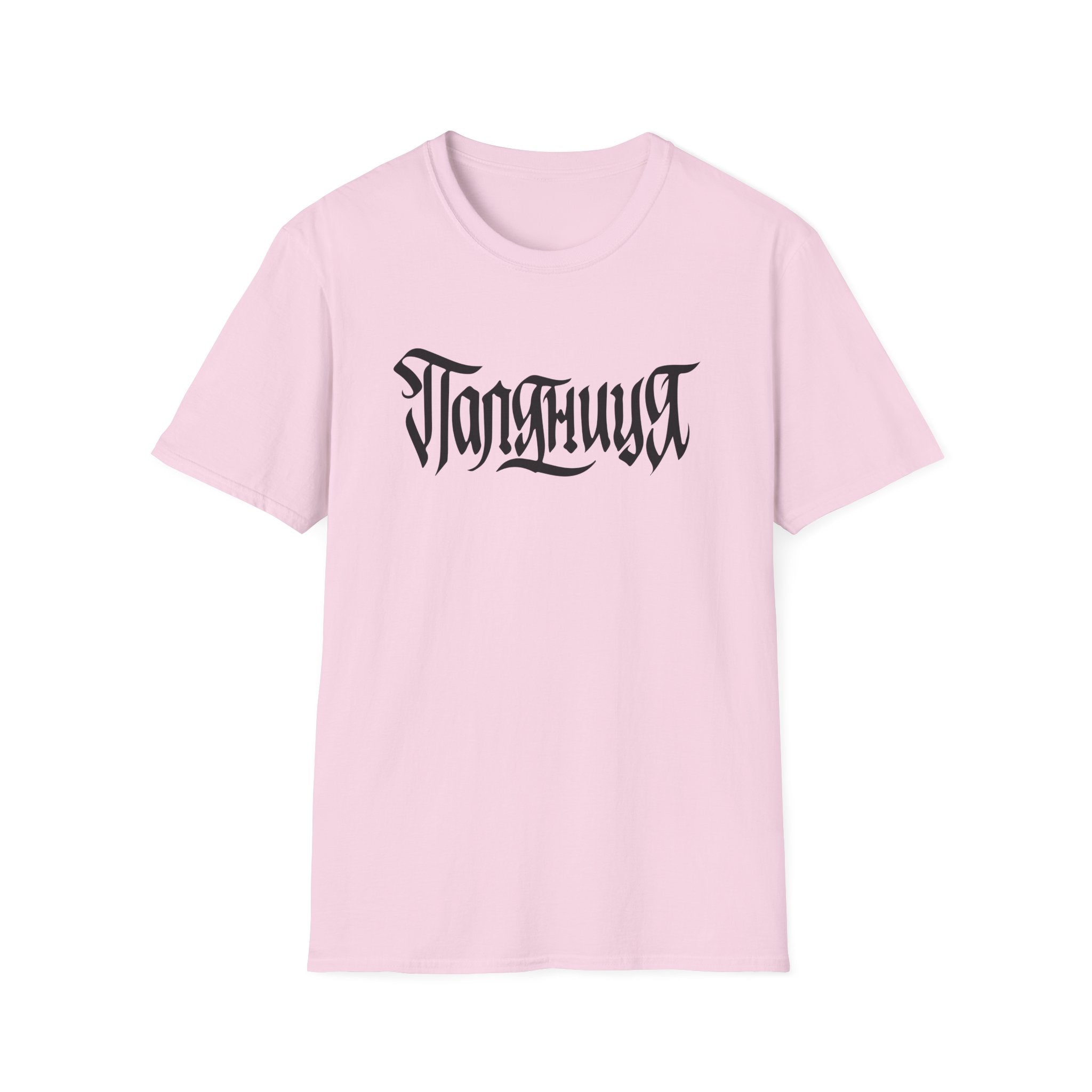 Azov Battalion Palianytsia Passphrase Unisex Softstyle T-Shirt