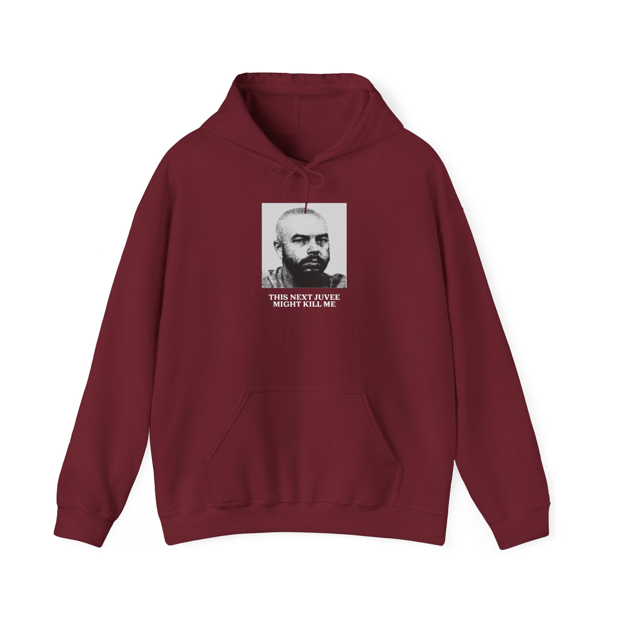 Ludwig This Next Juvee Might Kill Me Unisex Heavy Blend Hooded Sweatshirt
