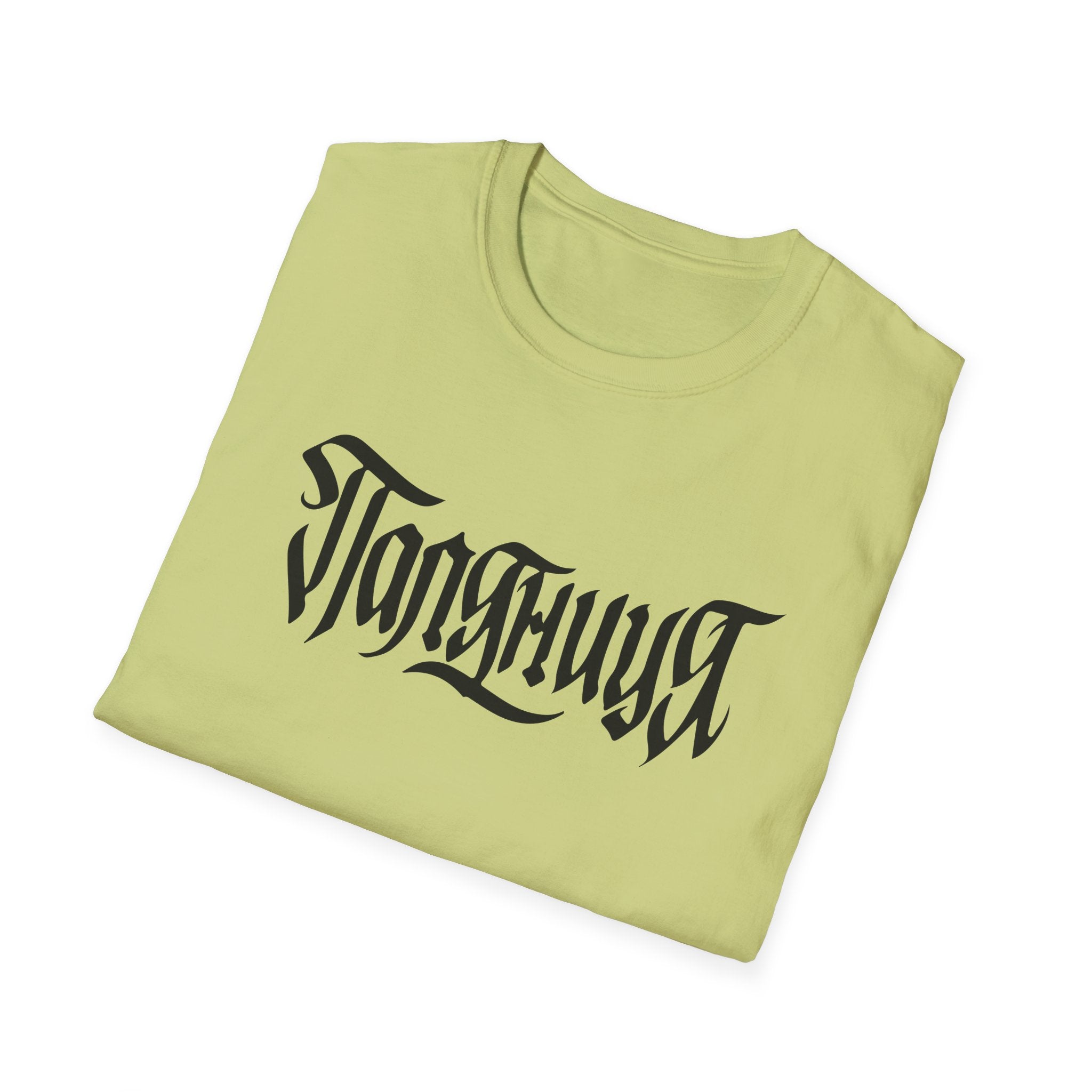 Azov Battalion Palianytsia Passphrase Unisex Softstyle T-Shirt