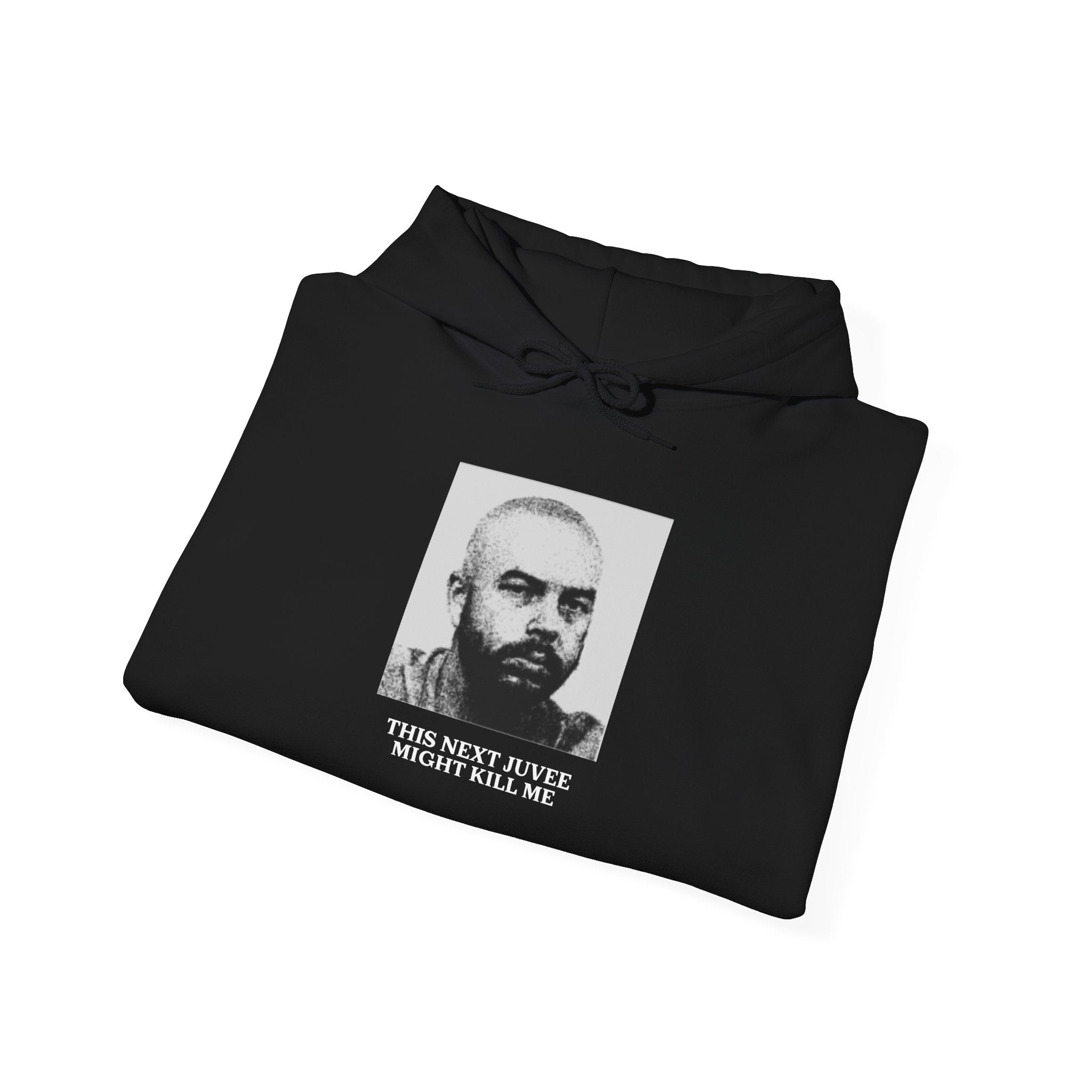 Ludwig This Next Juvee Might Kill Me Unisex Heavy Blend Hooded Sweatshirt