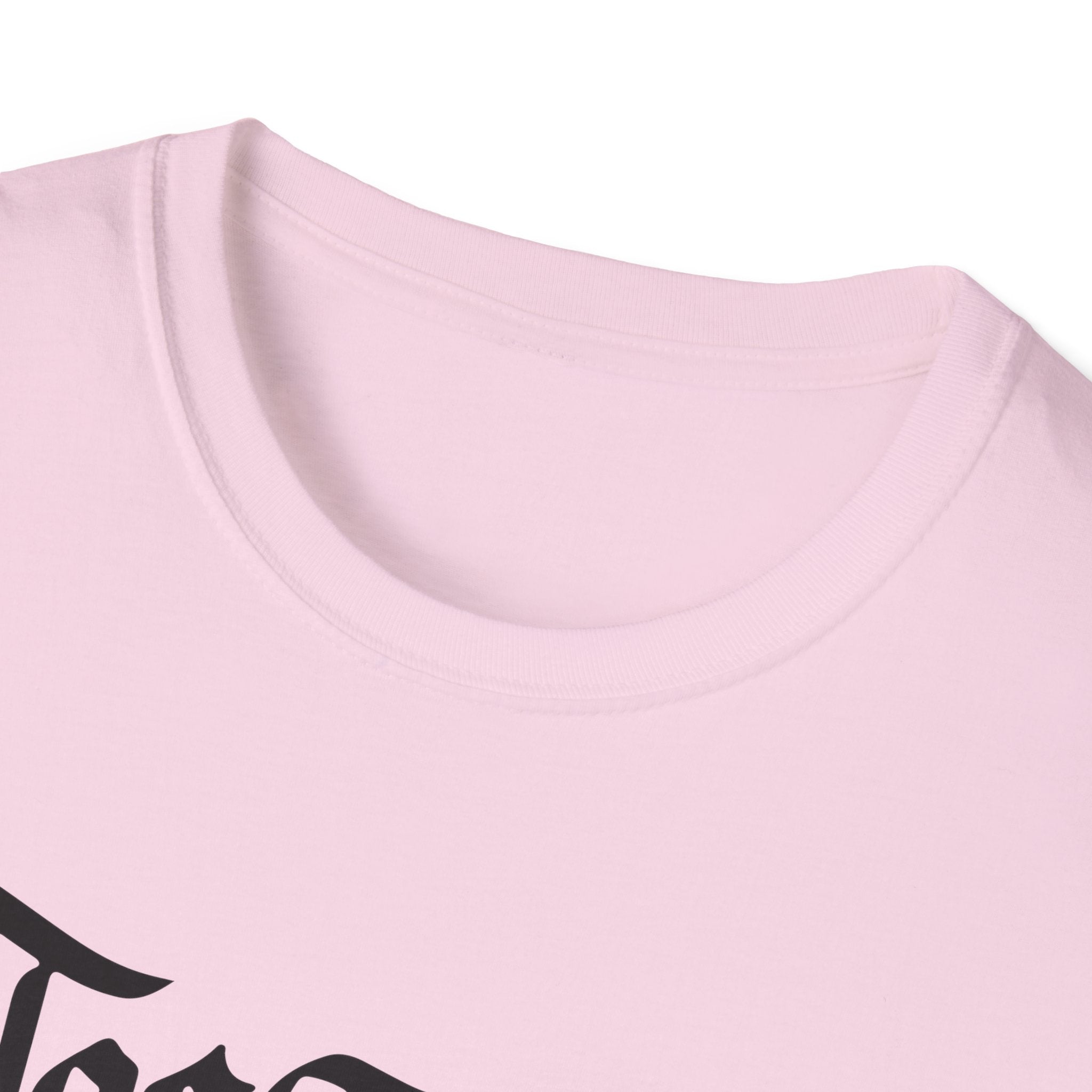 Azov Battalion Palianytsia Passphrase Unisex Softstyle T-Shirt