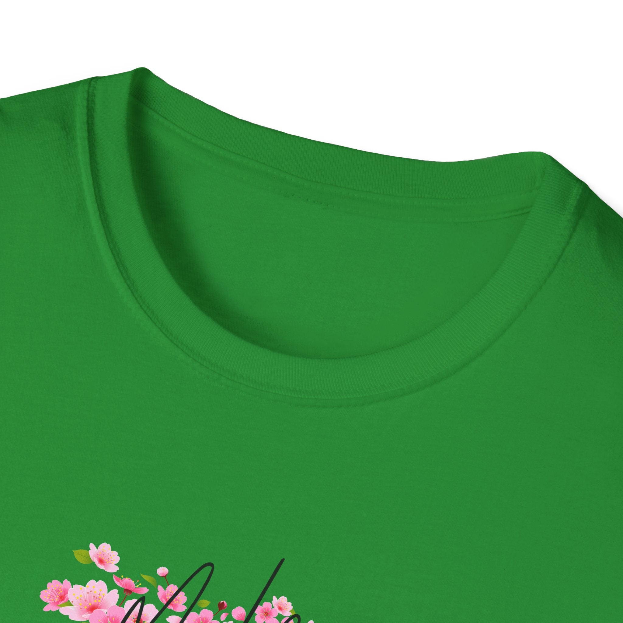 Ludwig Mogul Moves Mint Unisex Softstyle T-Shirt