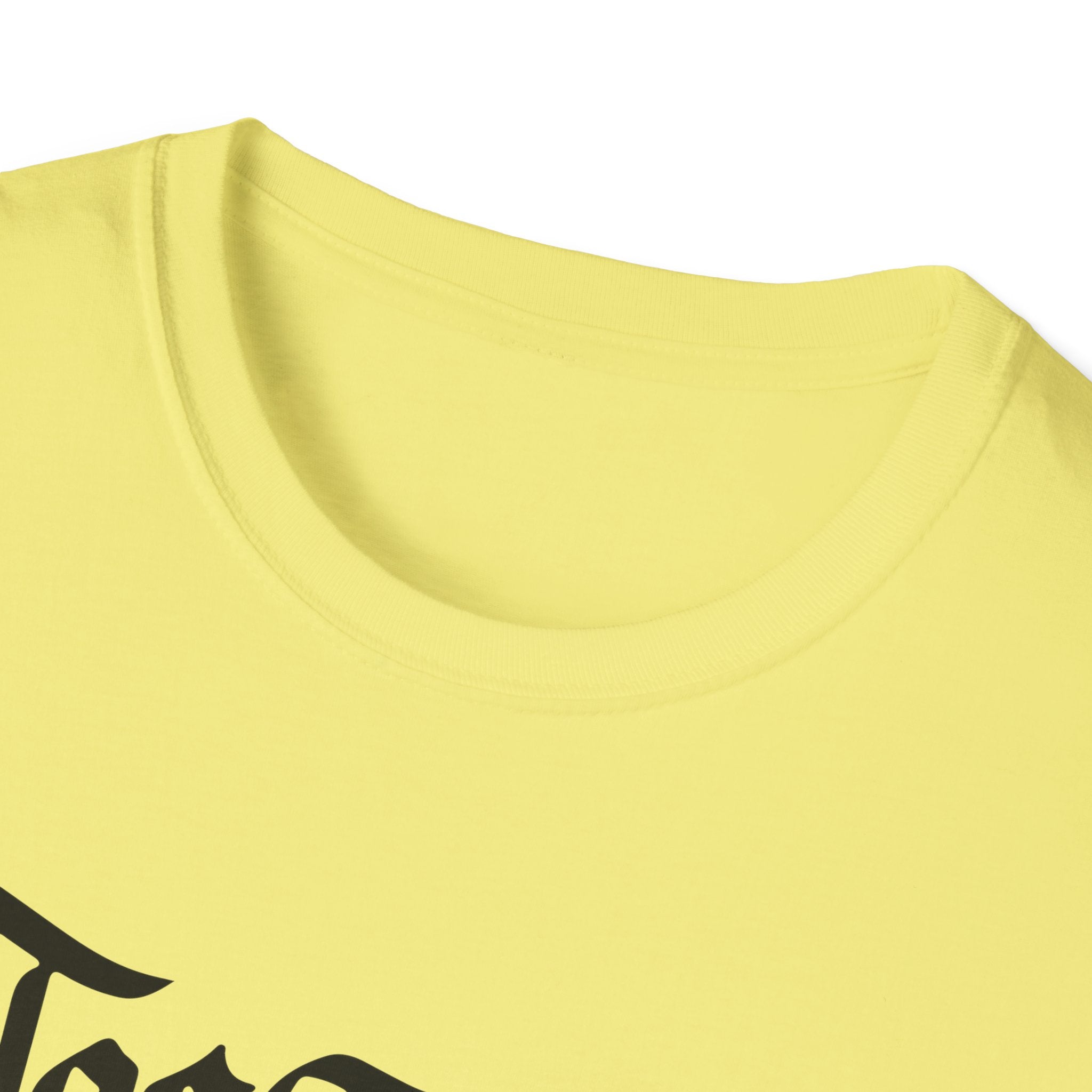 Azov Battalion Palianytsia Passphrase Unisex Softstyle T-Shirt