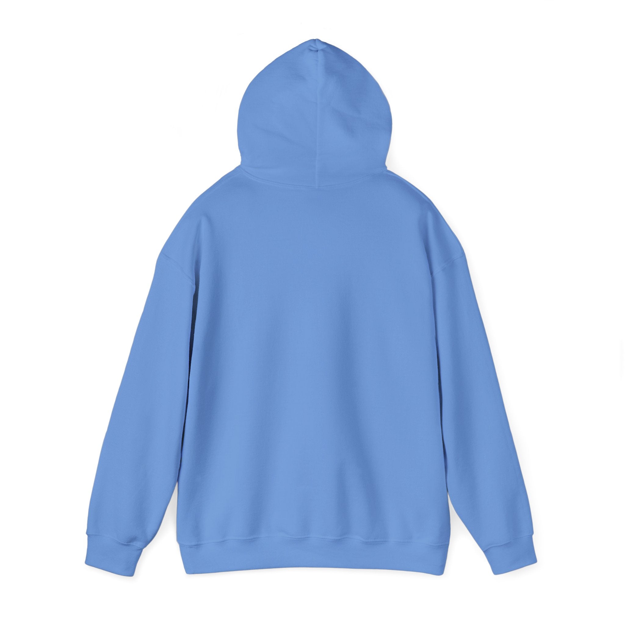Ludwig Mogul Moves Mint Unisex Heavy Blend Hooded Sweatshirt