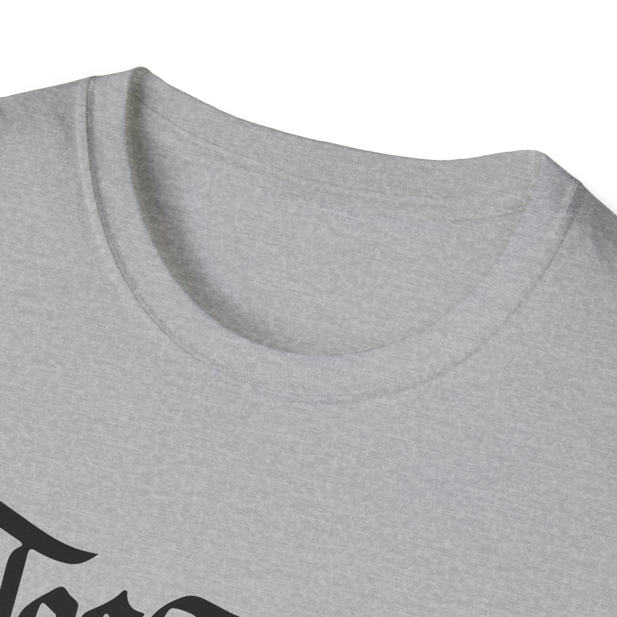Azov Battalion Palianytsia Passphrase Unisex Softstyle T-Shirt