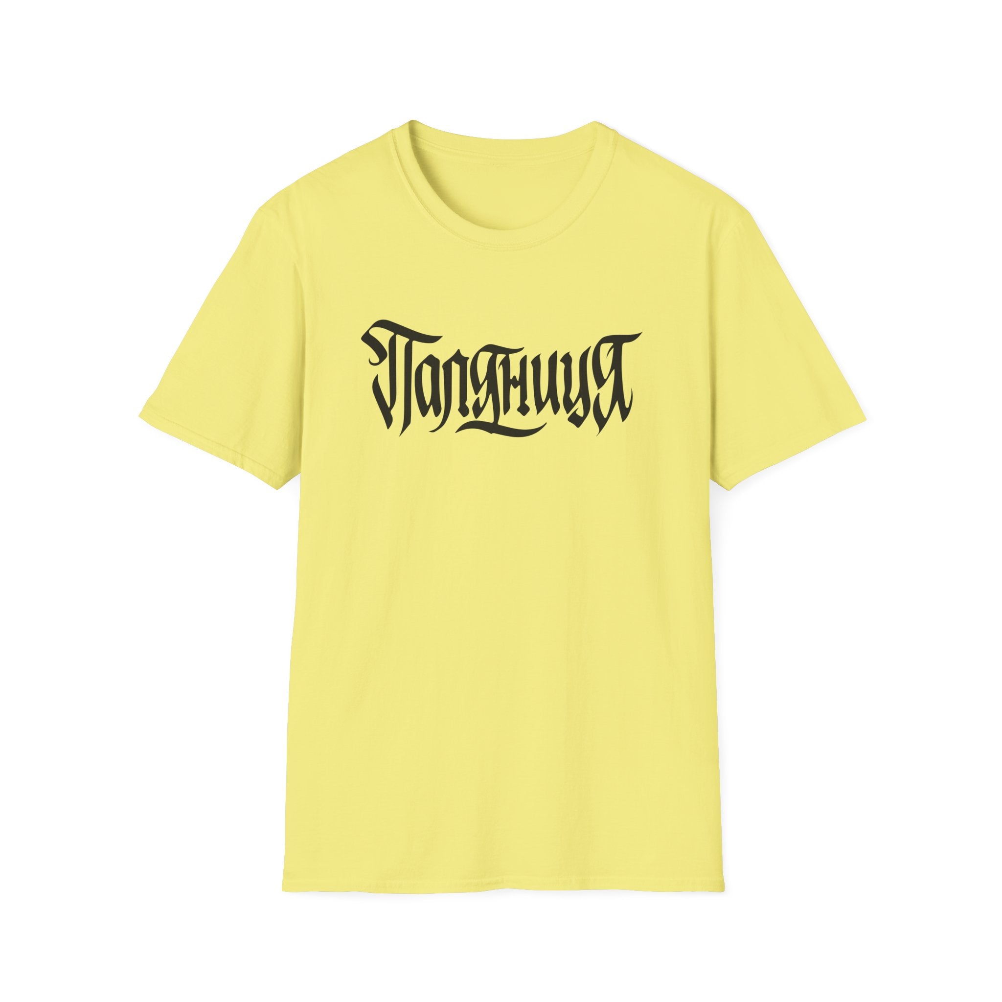 Azov Battalion Palianytsia Passphrase Unisex Softstyle T-Shirt