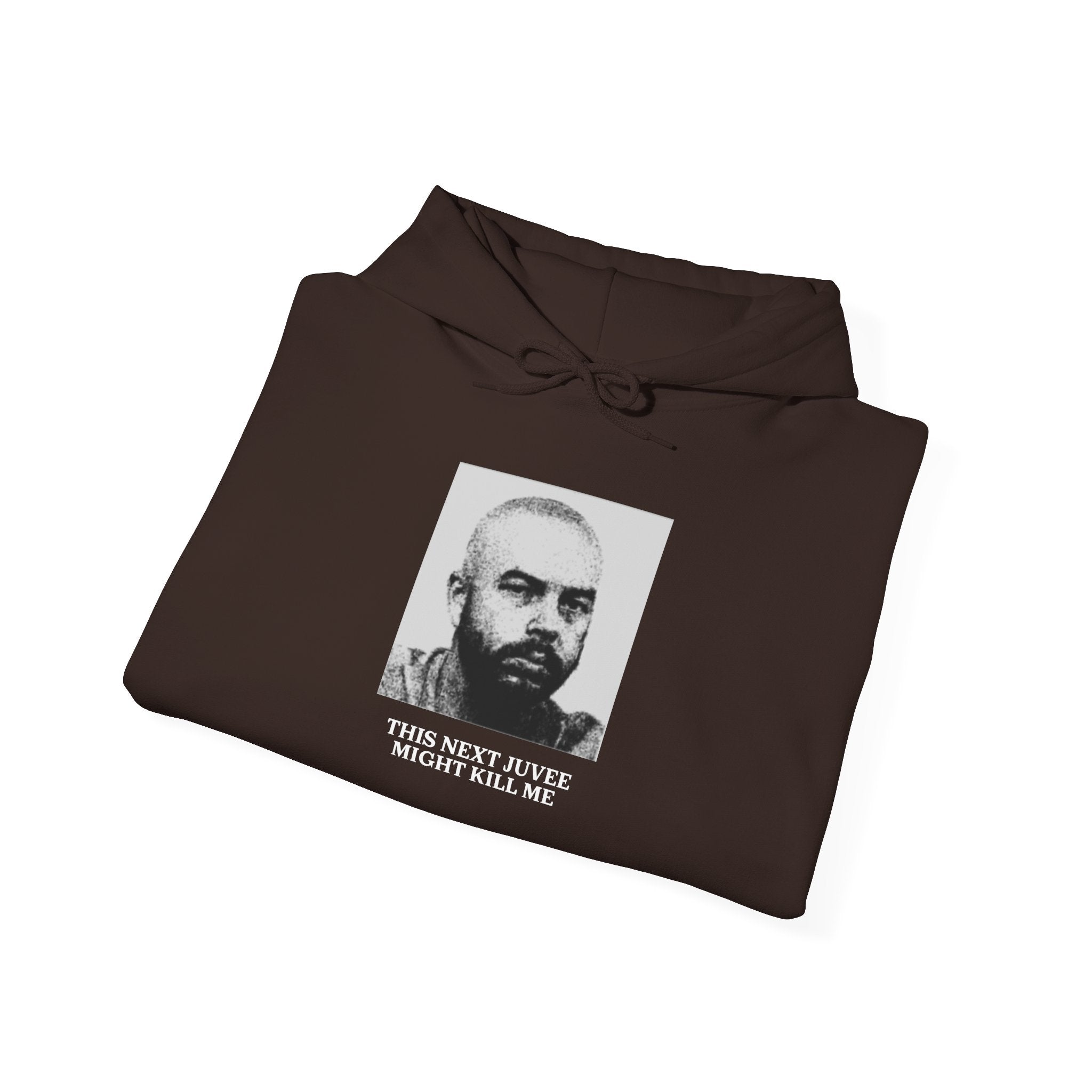 Ludwig This Next Juvee Might Kill Me Unisex Heavy Blend Hooded Sweatshirt