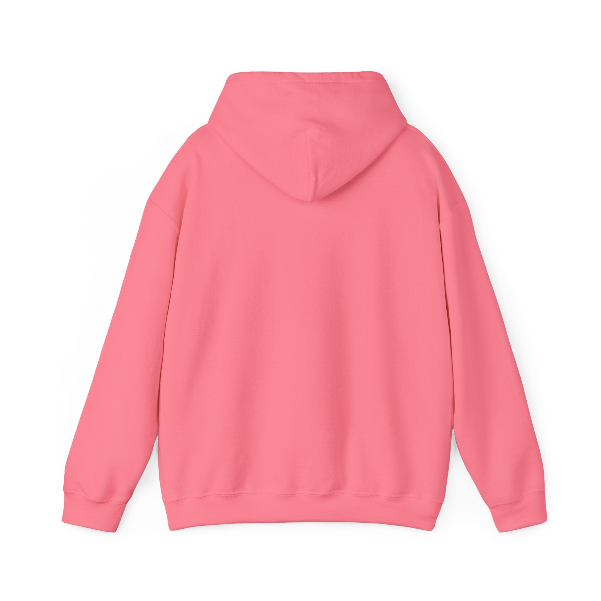 Ludwig  Mogul Moves Mint Unisex Heavy Blend Hooded Sweatshirt