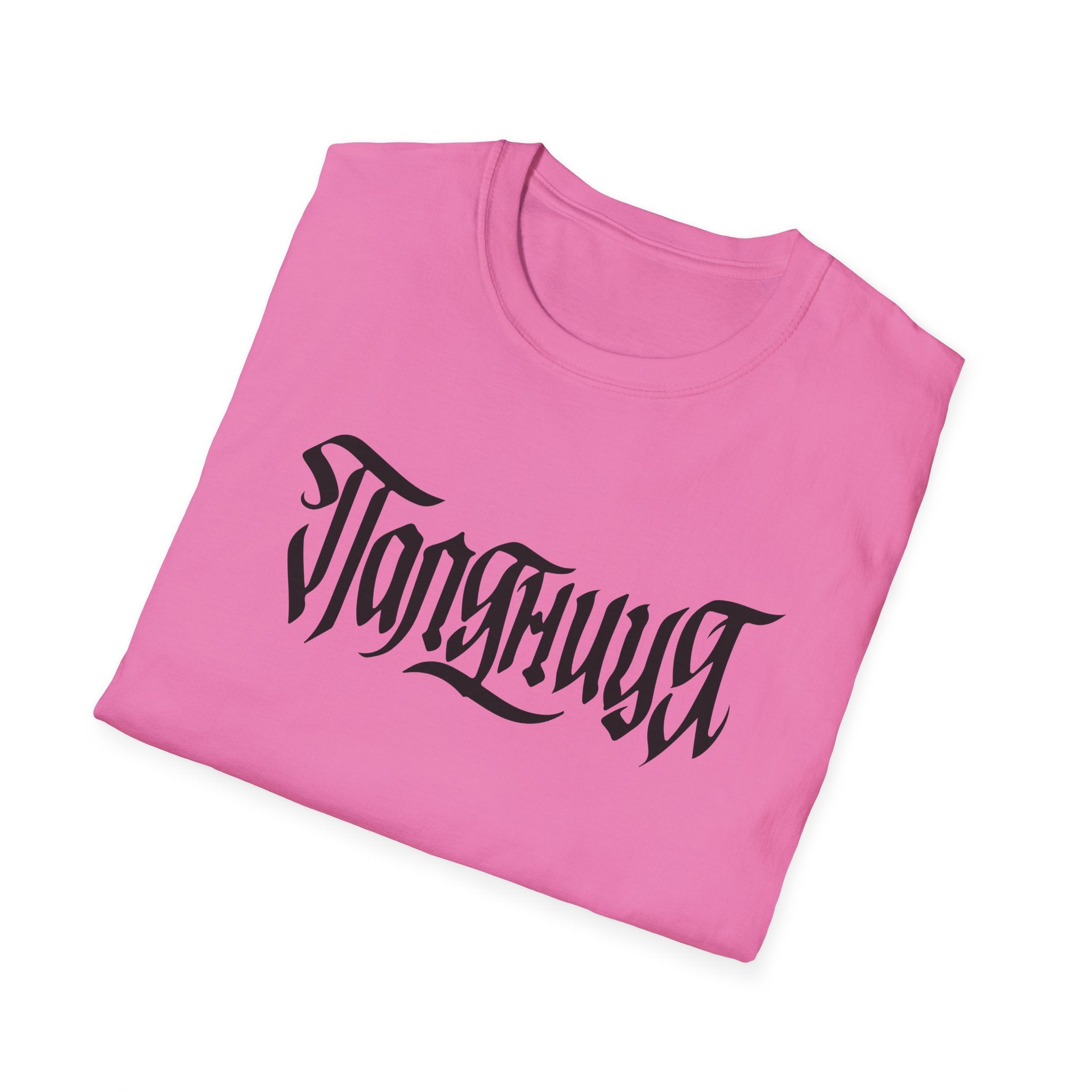 Azov Battalion Palianytsia Passphrase Unisex Softstyle T-Shirt