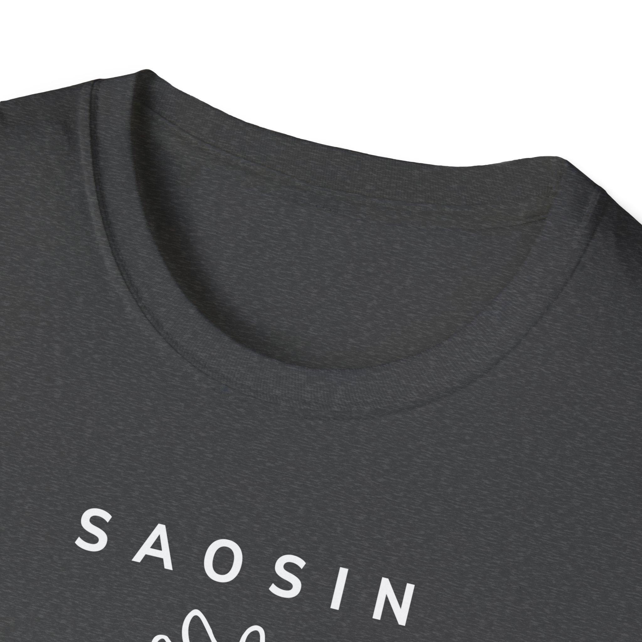 Saosin Illusion & Control Lyric Unisex Softstyle T-shirt