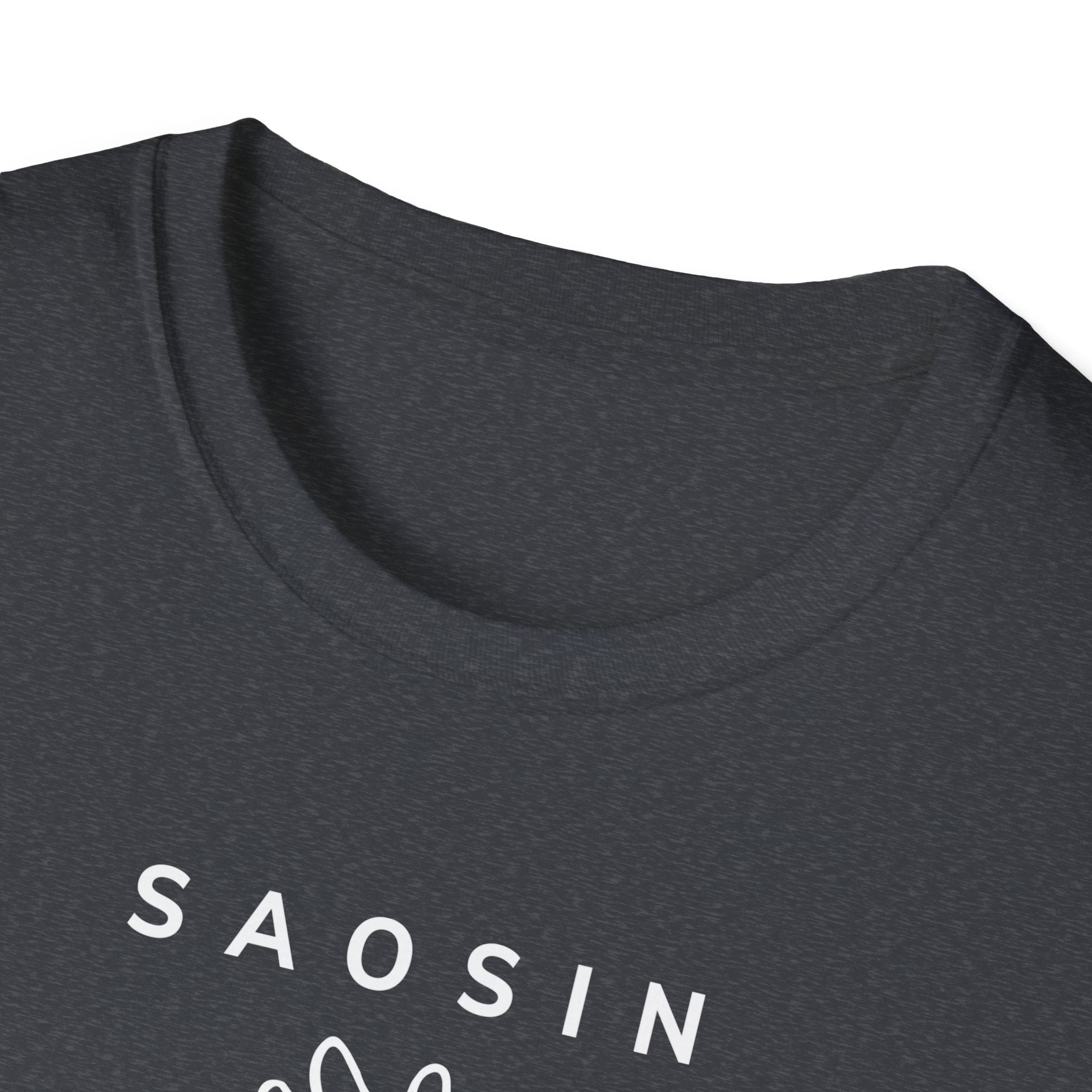 Saosin Illusion & Control Lyric Unisex Softstyle T-shirt
