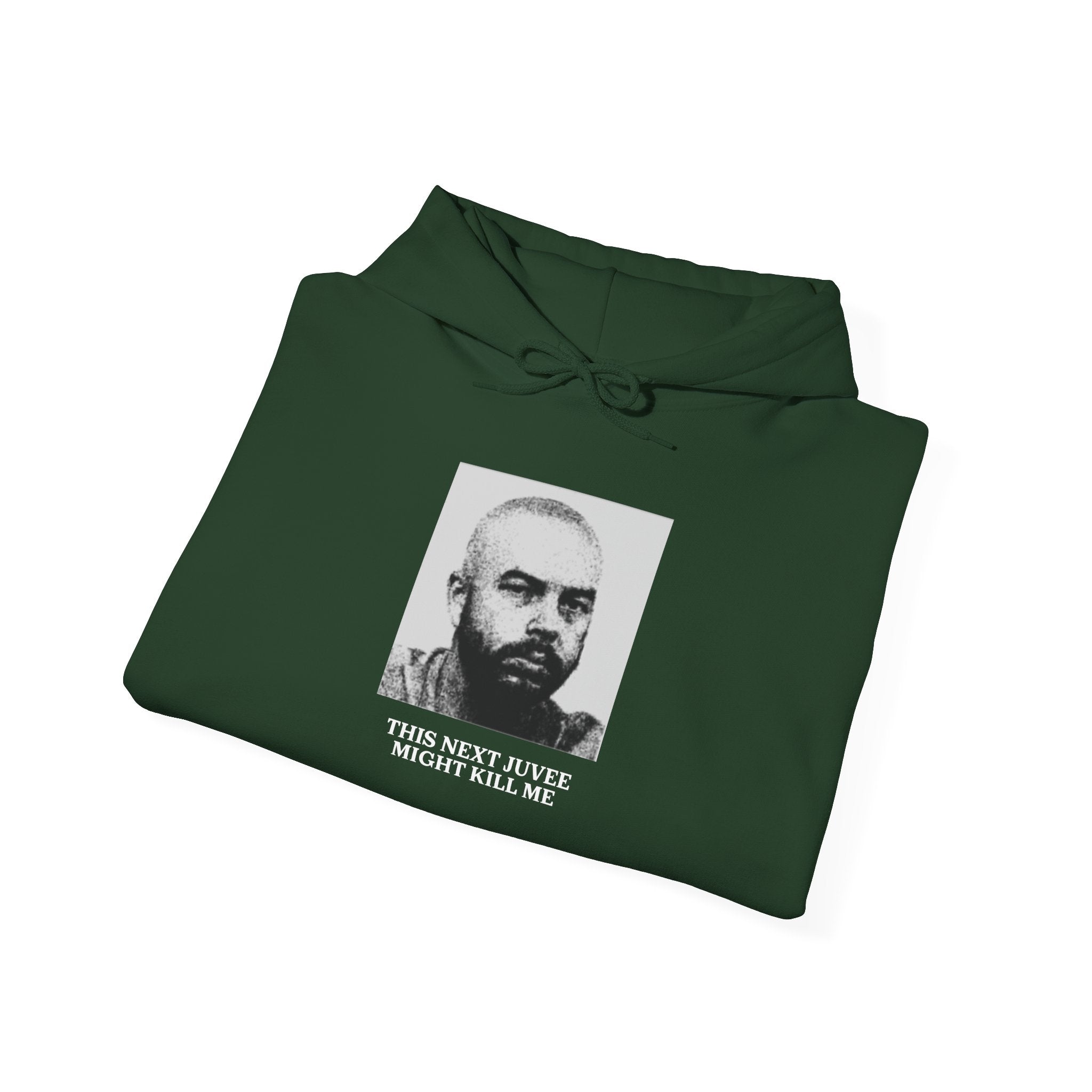 Ludwig This Next Juvee Might Kill Me Unisex Heavy Blend Hooded Sweatshirt