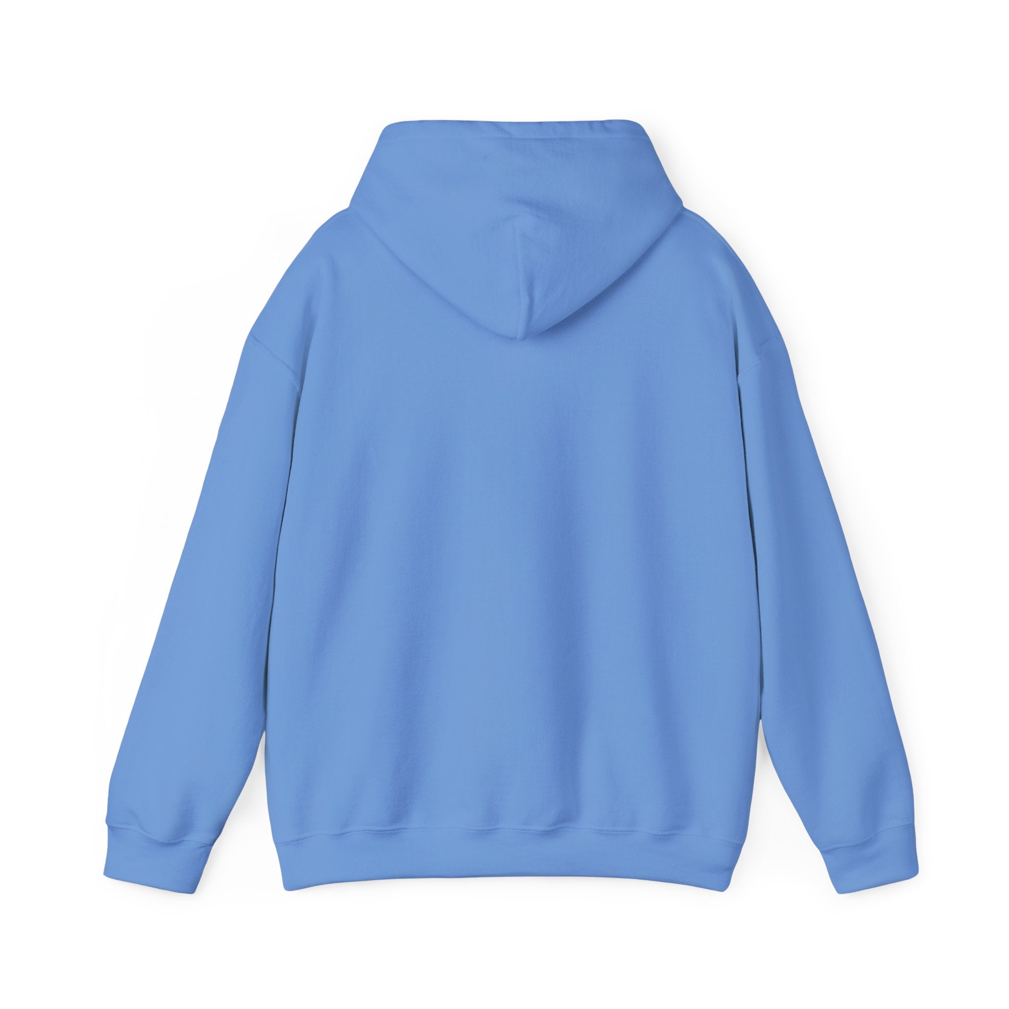 Ludwig  Mogul Moves Mint Unisex Heavy Blend Hooded Sweatshirt