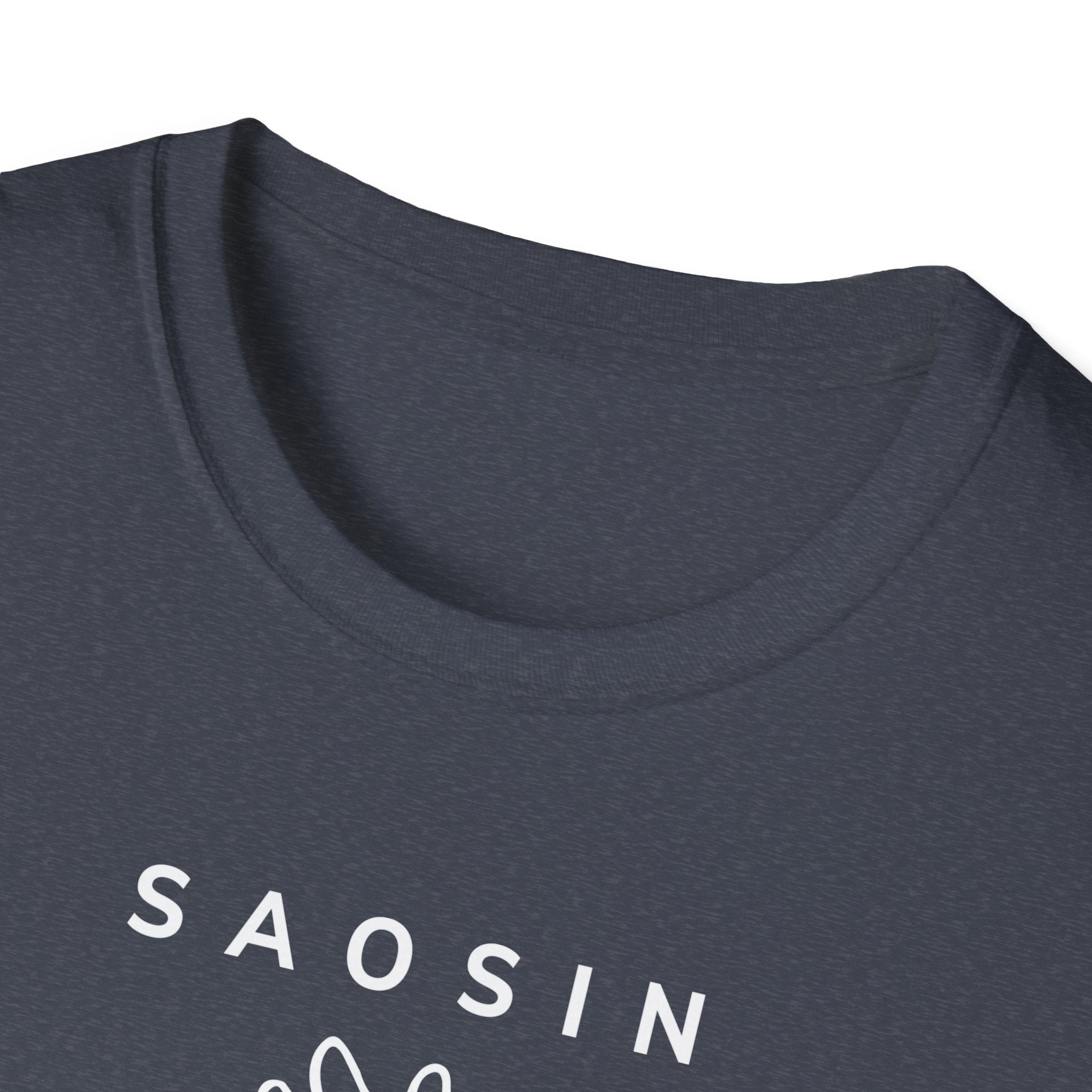 Saosin Illusion & Control Lyric Unisex Softstyle T-shirt