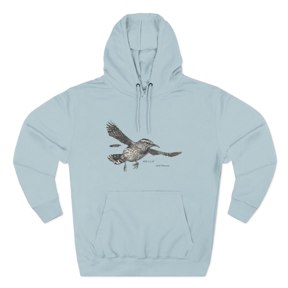 Adrianne Lenker Not a Lot Just Forever Three-panel Fleece Hoodie