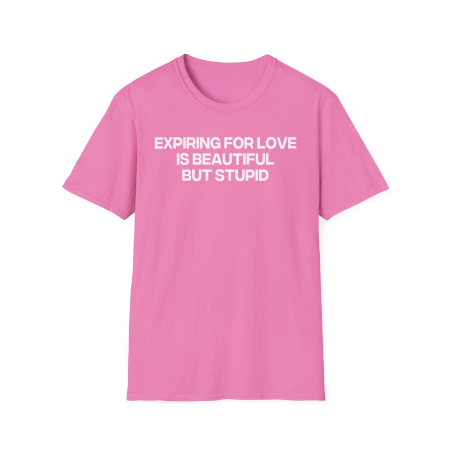 Jenny Holzer Expiring for Love is Beautiful but Stupid Unisex Softstyle T-Shirt