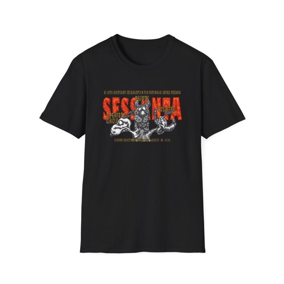A Perfect Circle Unisex Softstyle T-Shirt