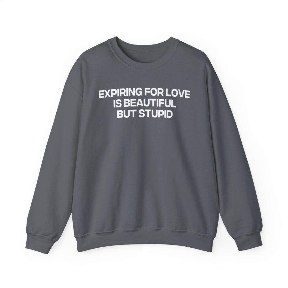 Jenny Holzer Expiring for Love is Beautiful but Stupid Unisex Heavy Blend™ Crewneck Sweatshirt