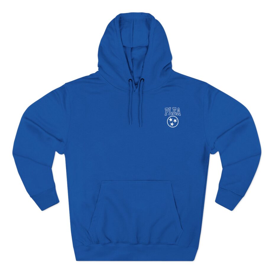 A Plea for Purging Plea Three-Panel Fleece Hoodie